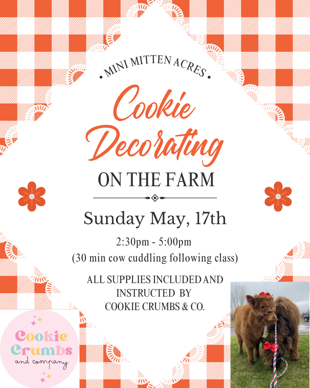 Cookie Crumbs Workshop