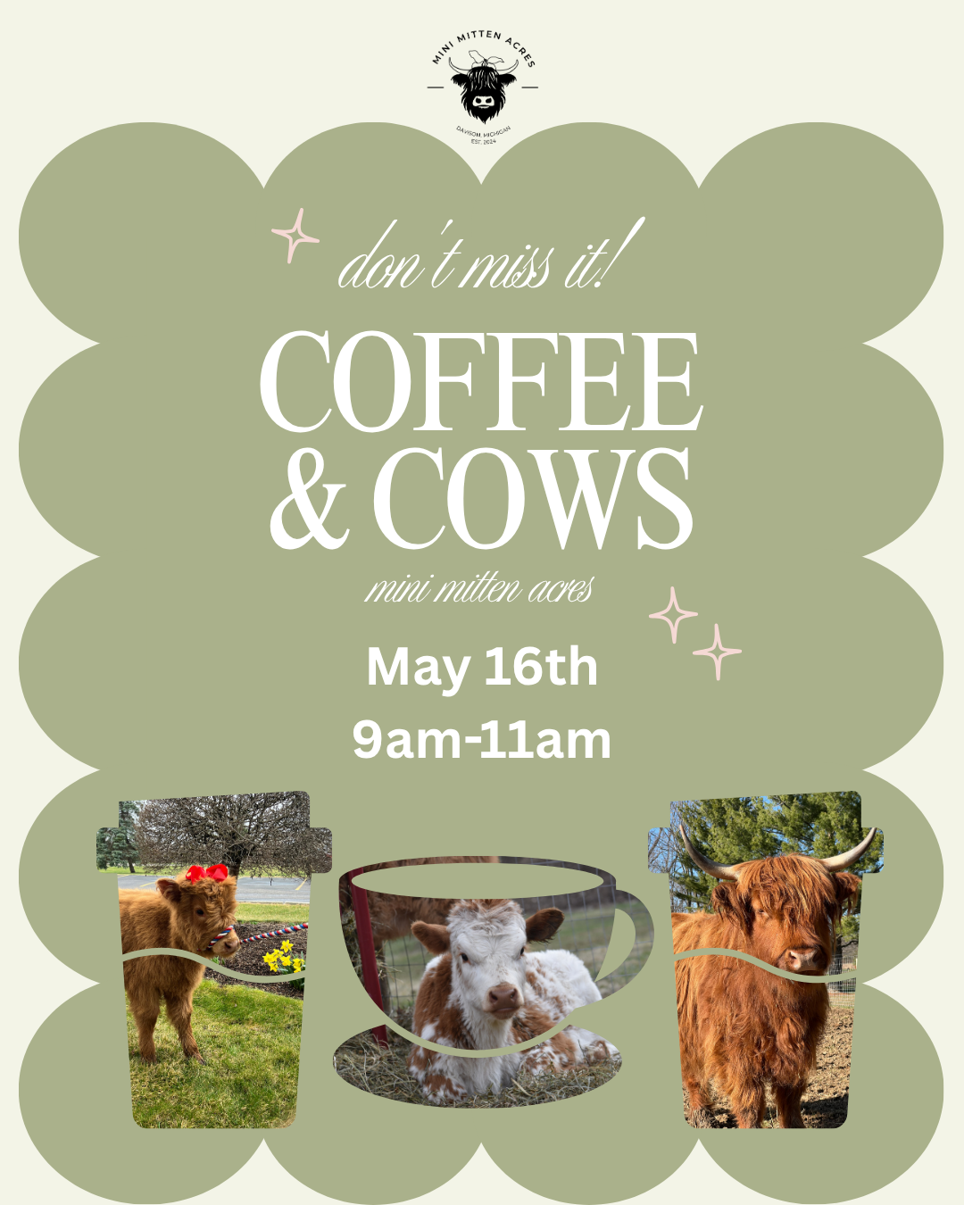 Coffee & Cows