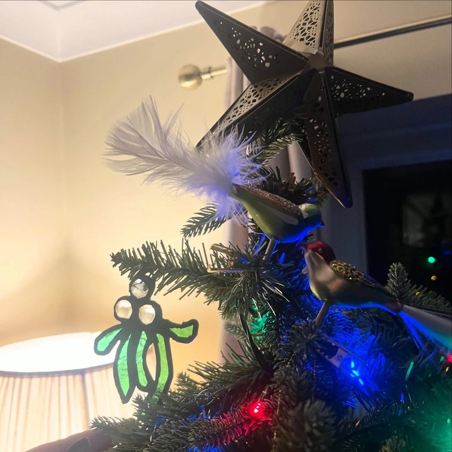 Christmas cuteness 💫