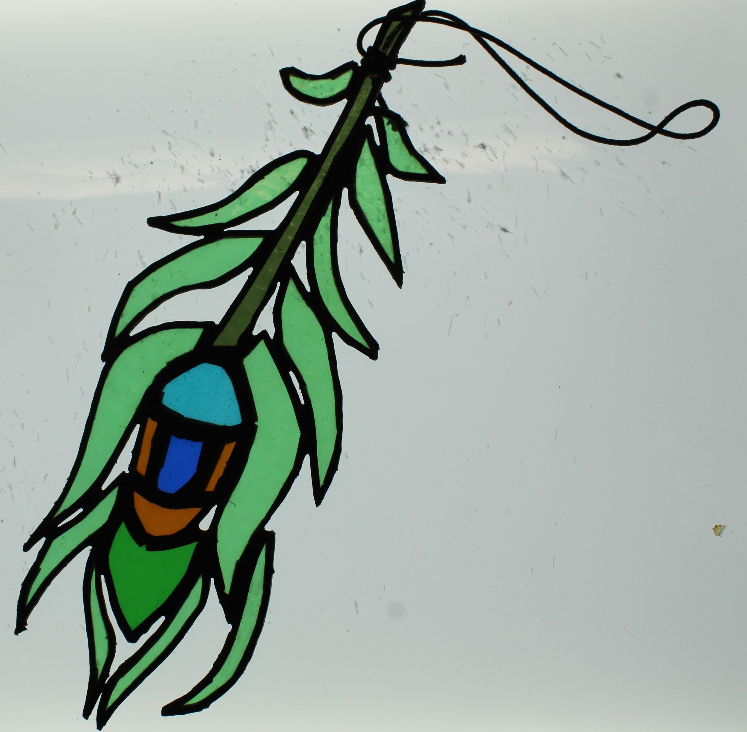peacock feather 2.jpg
