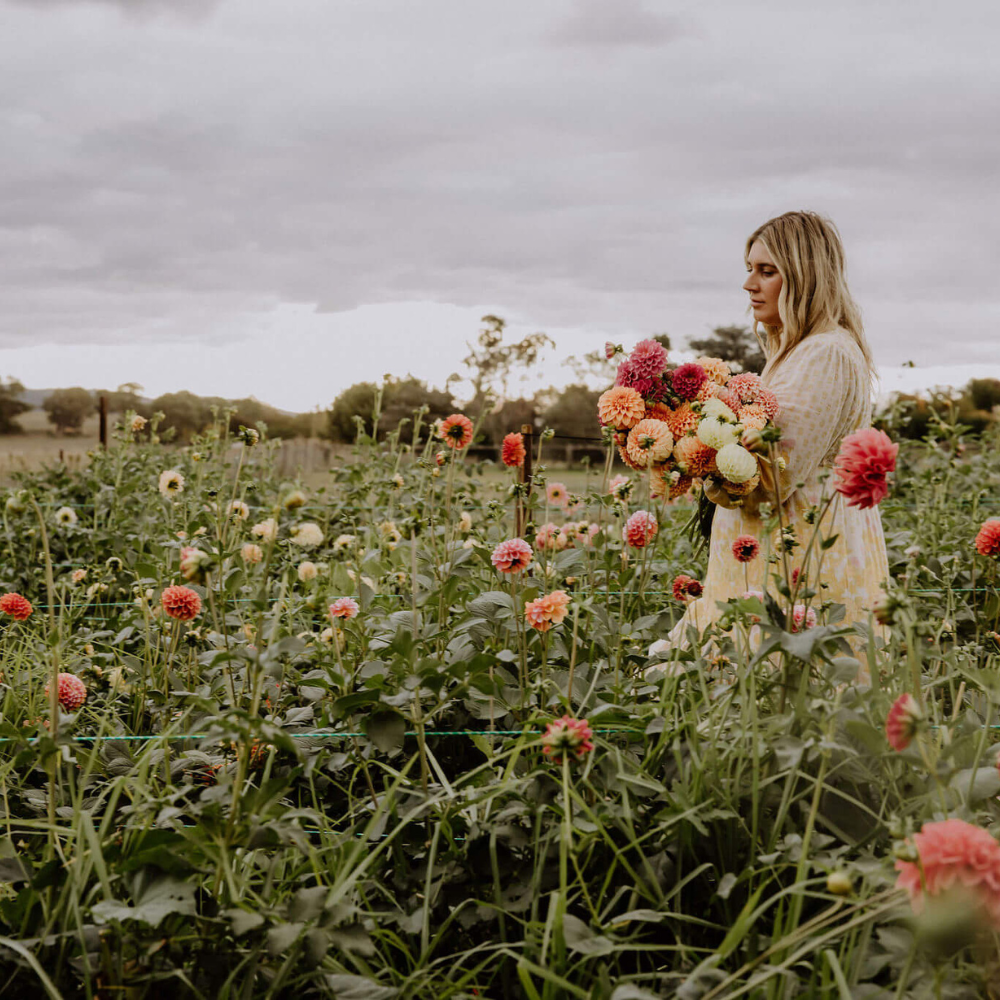Candice from Posie Club picking flowers in her micro farm