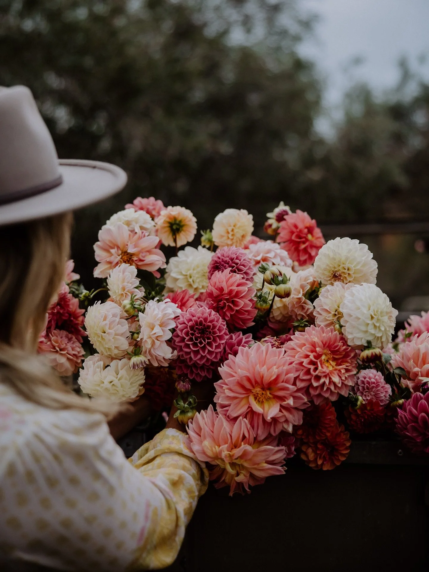 We officially began digging up our dahlias! 🌸
We didn&rsquo;t quite get through them all in a day, but with just two rows to go, we&rsquo;ll have them up in no time. I&rsquo;ve also made a start on dividing them, feeling much more confident this yea