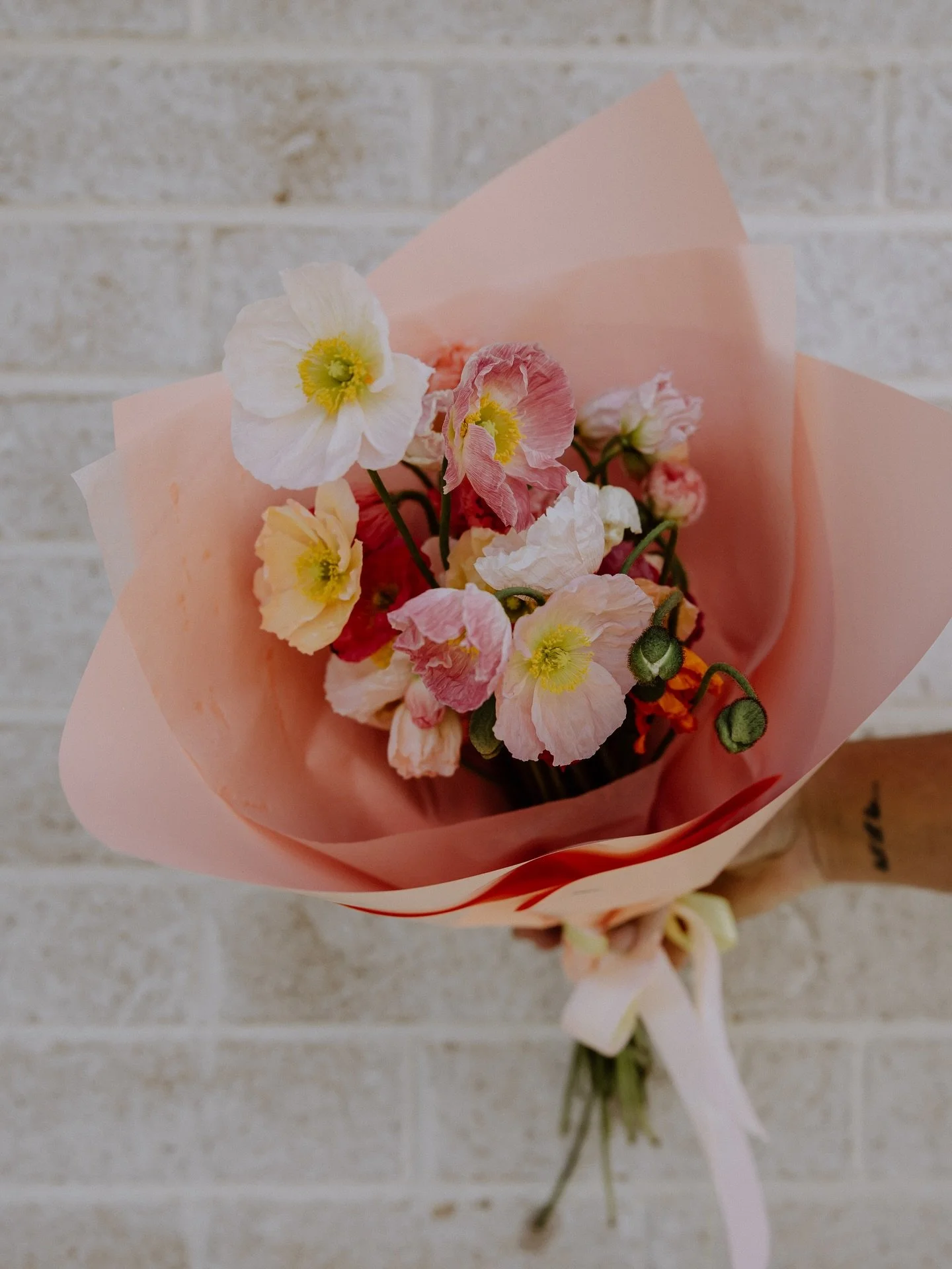 Everyone was obsessed with our last lot of seasonal bunches, especially the poppies! 🌸 
So I&rsquo;ve decided to do a one-off drop this Thursday with a few more.
Pickup or delivery available, they&rsquo;re online now!
www.posieclub.com.au