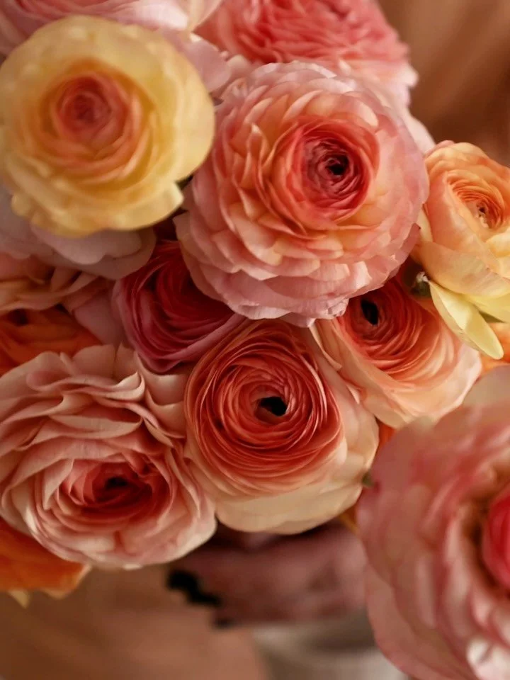 Somewhere along the way, we were taught that flowers were for birthdays, anniversaries and all the big milestones. But what if we didn&rsquo;t wait?
What if beauty didn&rsquo;t need a reason?

In my latest journal entry &lsquo;Beauty without Occasion