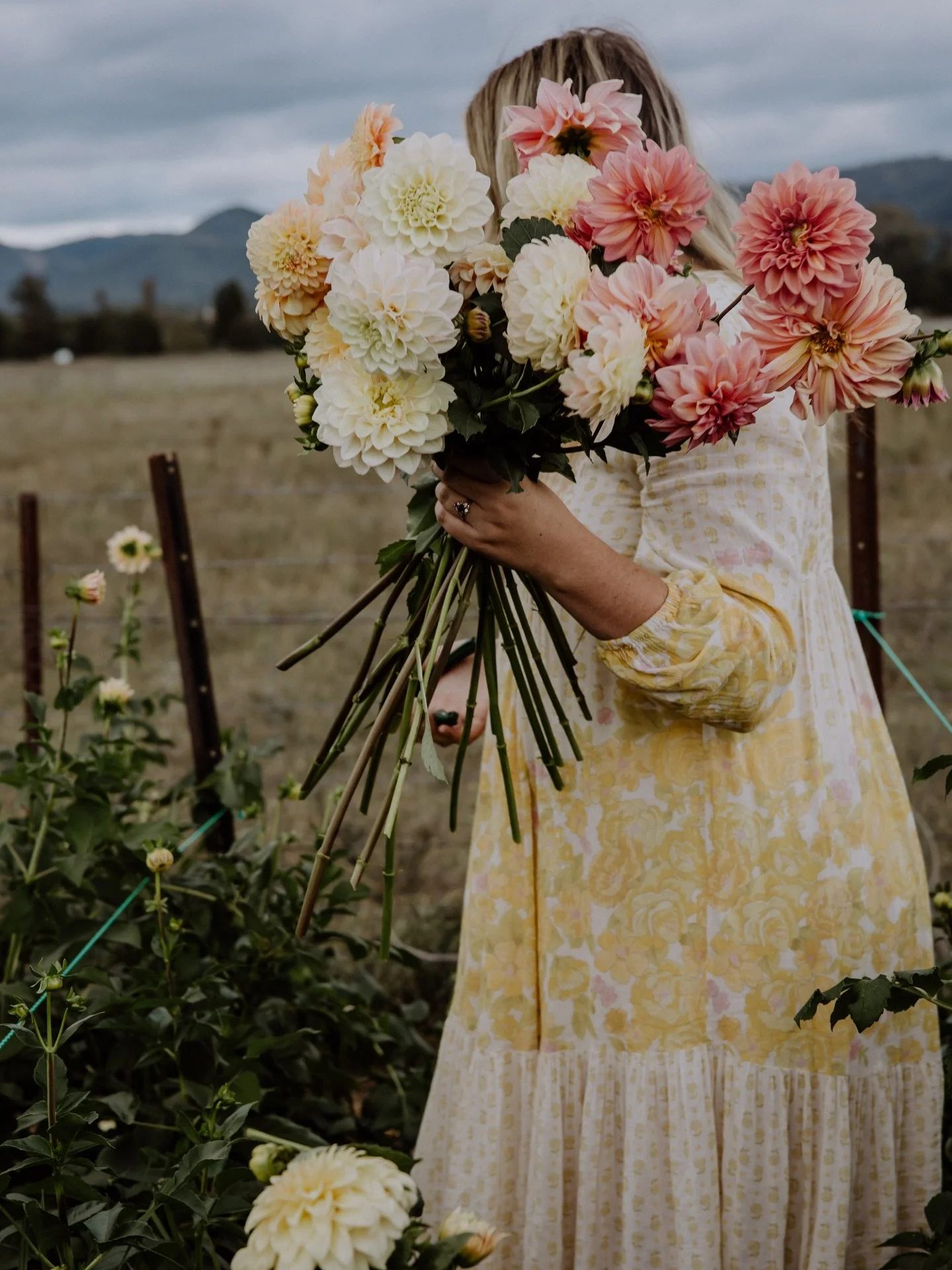 Life has been a little chaotic&hellip; but the garden has quietly kept growing in the background, thankfully ! 🙏

Floristry has been the main character these past few weeks, and the garden has happily snoozed through it as we wait for the summer flo