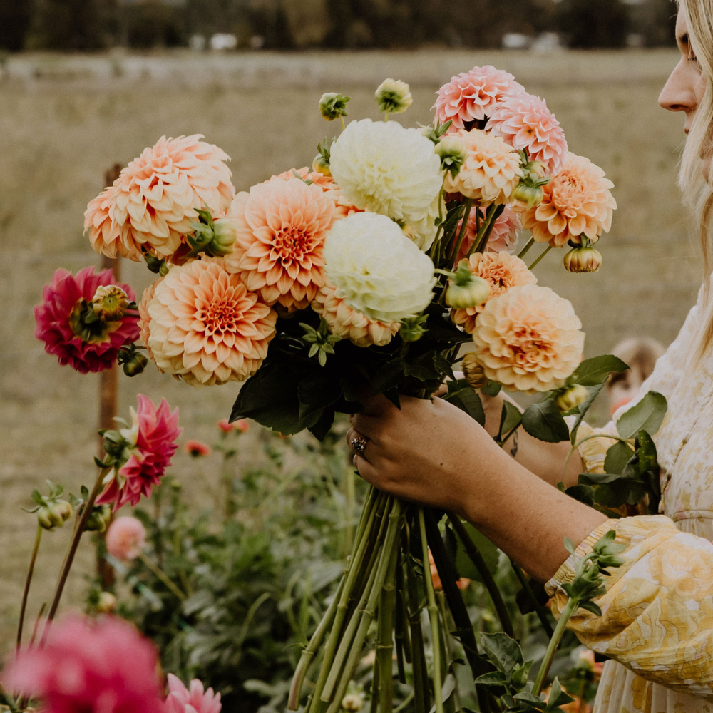 Birthday Flower Delivery in Mudgee: Choosing the Perfect Bouquet