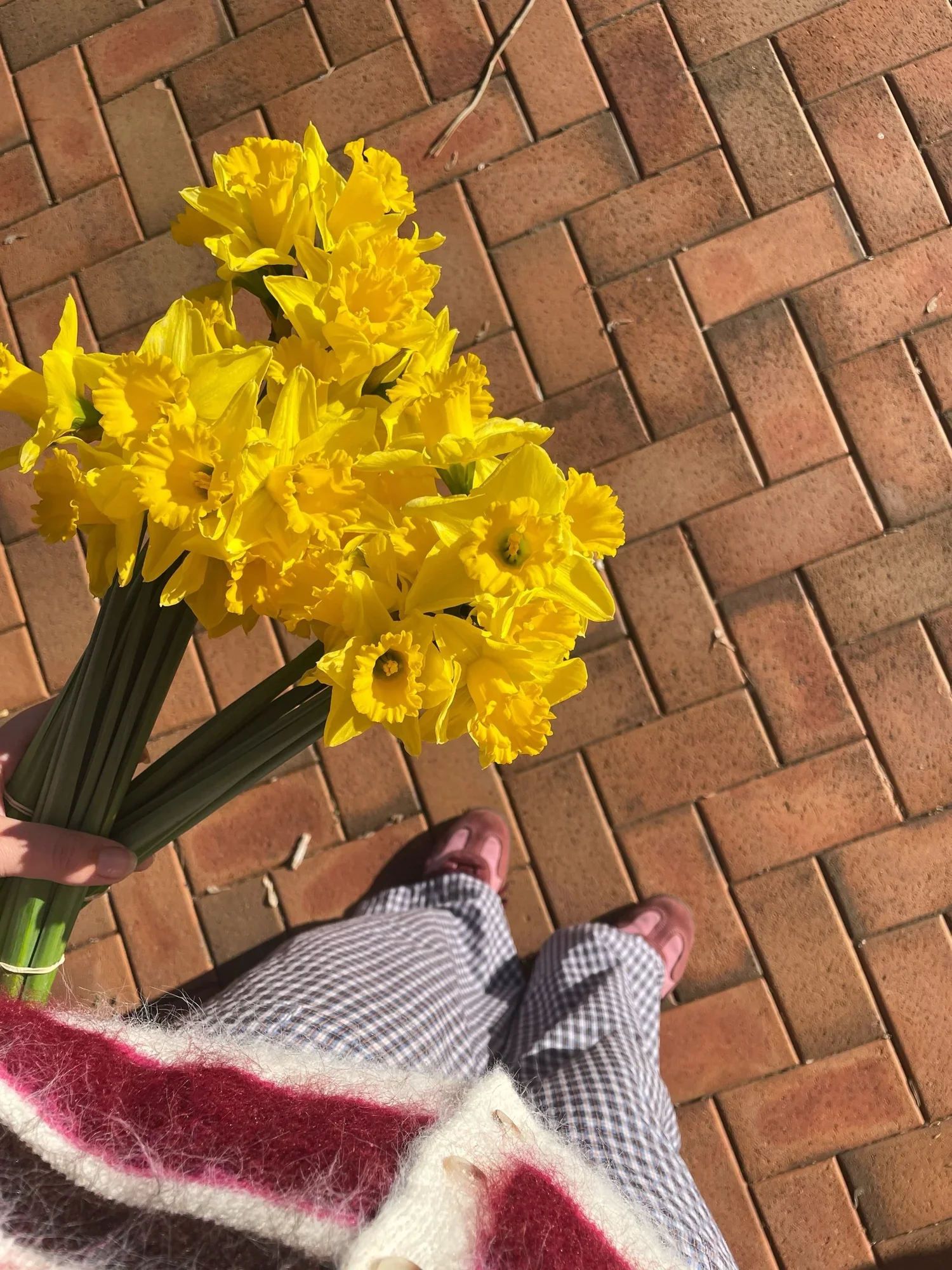 Daffodil Day: Why This Little Yellow Flower Means So Much