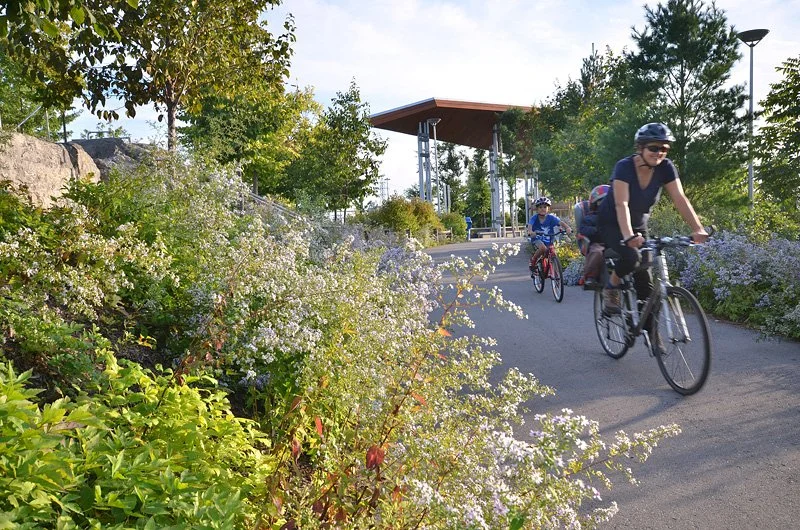 Corktown Common, Toronto, ON. Developed with Michael Van Valkenburgh Associates. National ASLA Award Winner