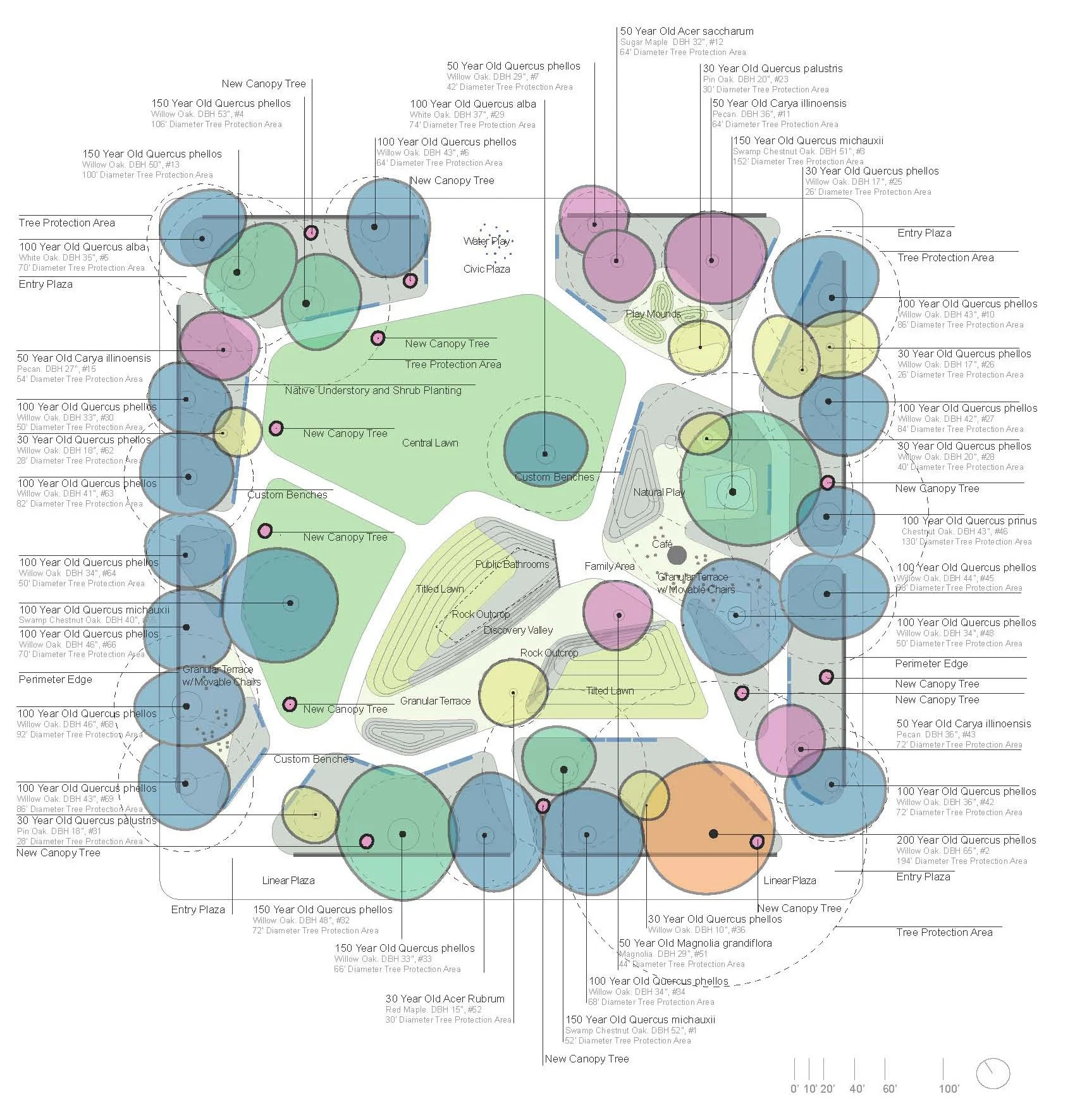 Counts Studio Moore Square Final Plan.jpg