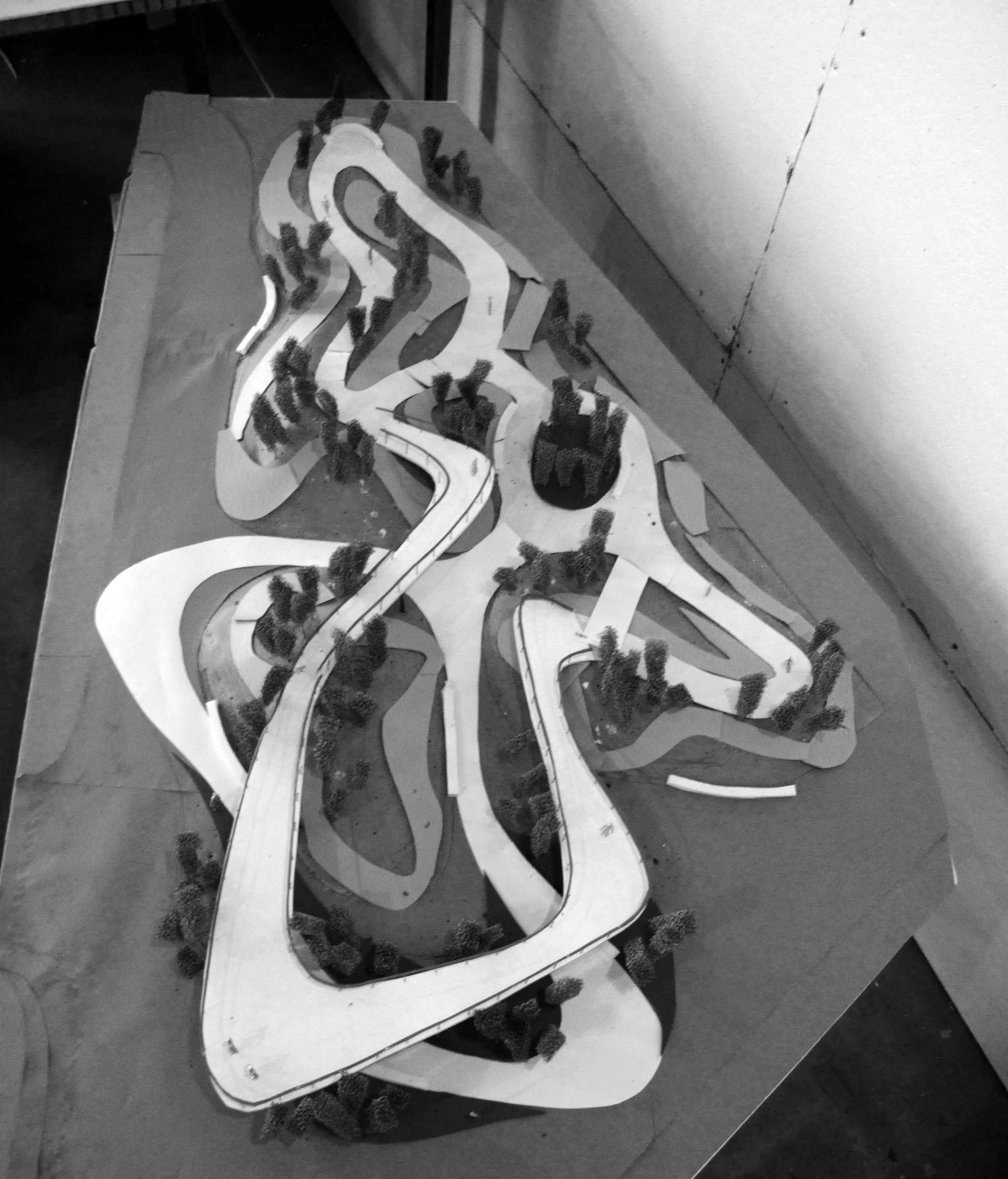 Beijing Study Model.jpg