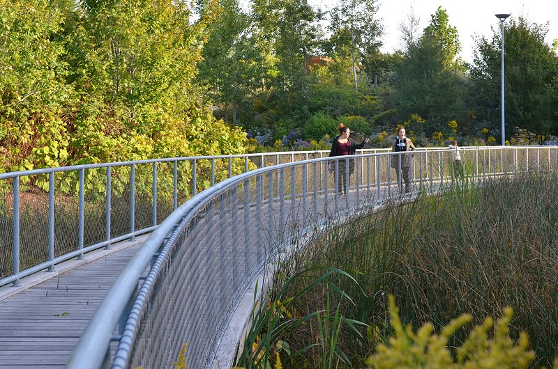 Crorktown Common, Toronto, ON, developed with Michael Van Valkenburgh Associates