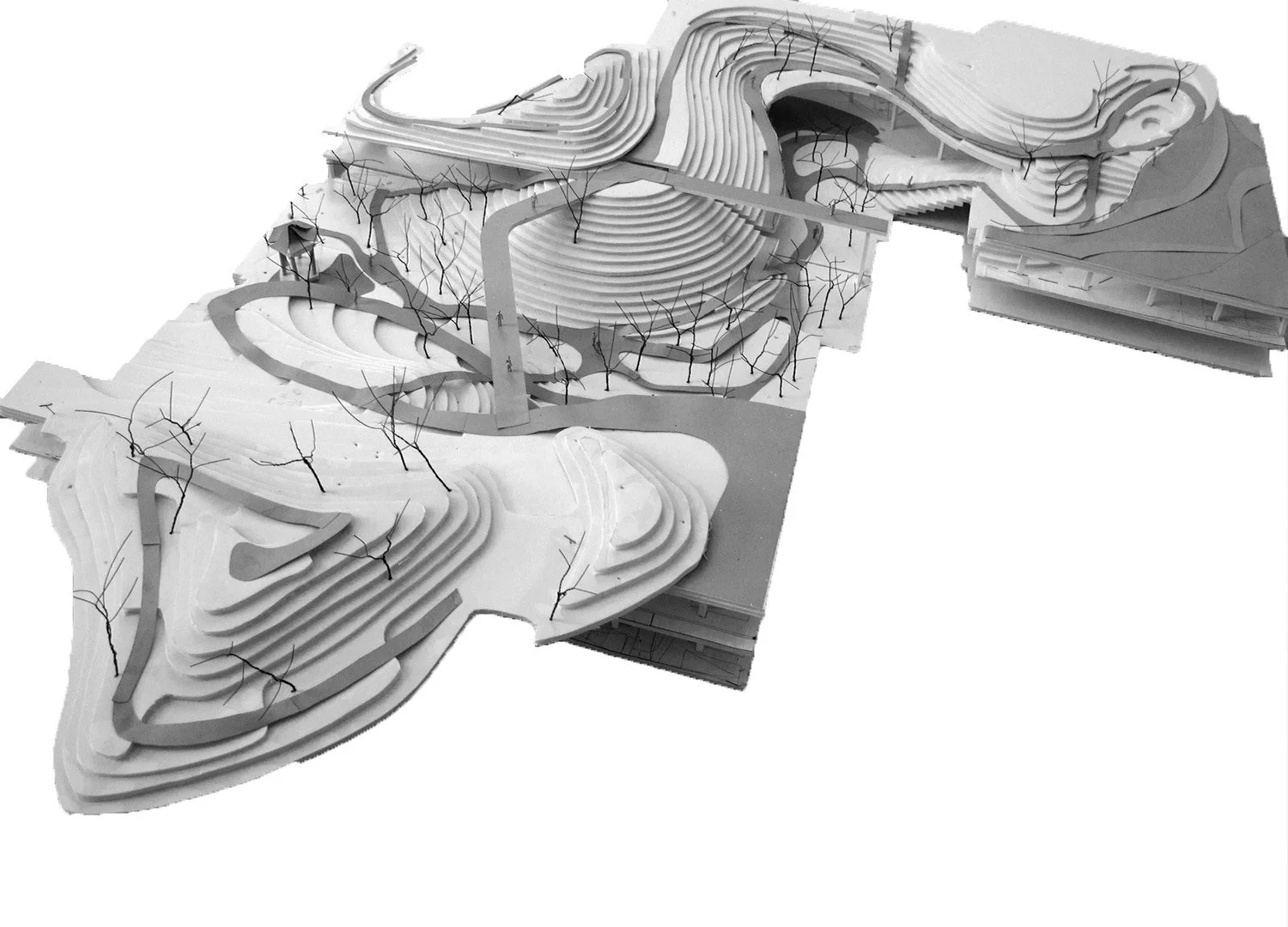 CANYON008.jpg