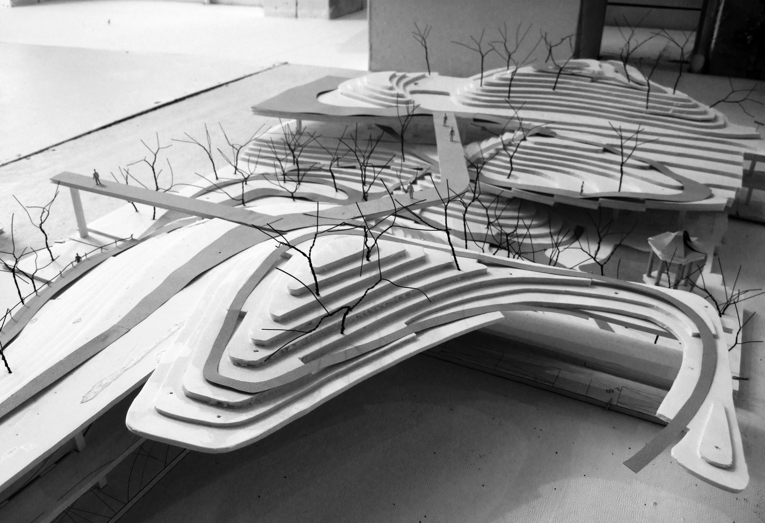 canyon from the side.jpg