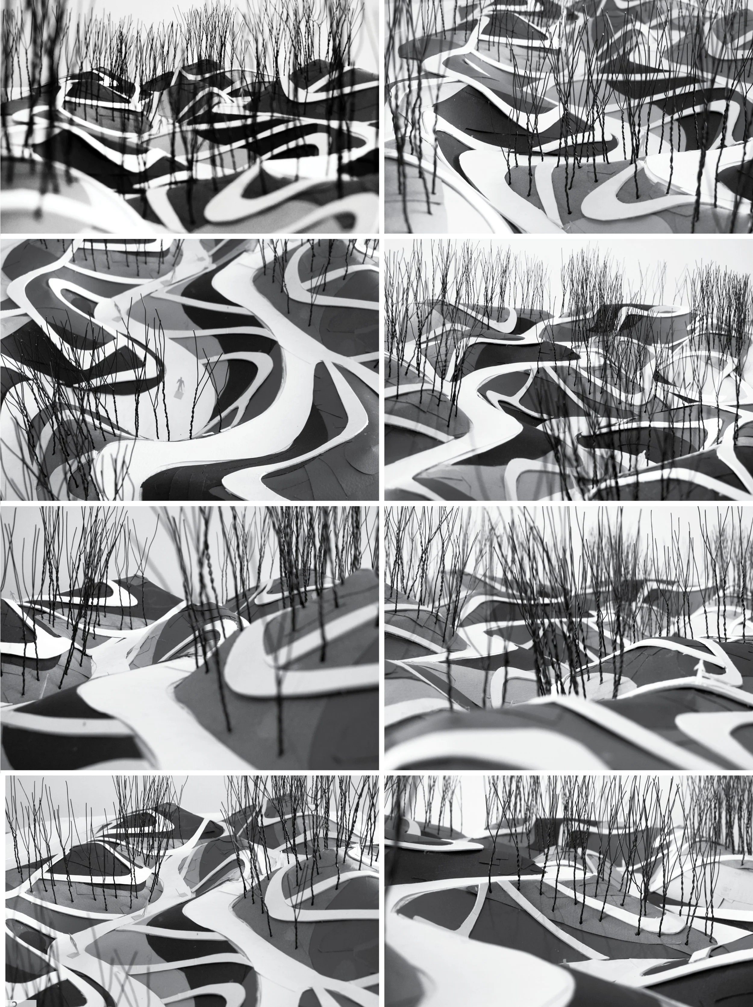 006_model collage.jpg