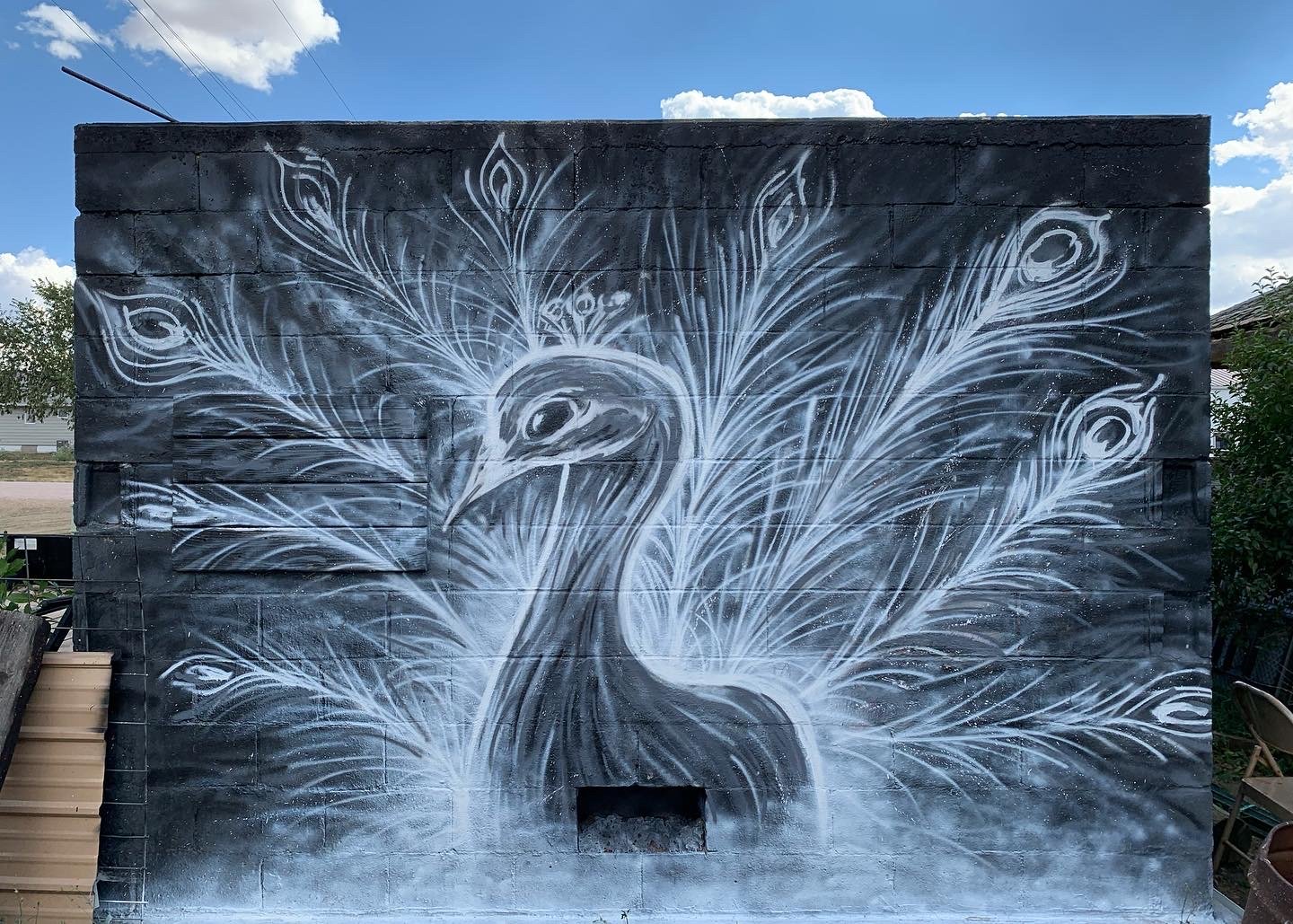 Peacock_Maxwell_Peacock.jpg
