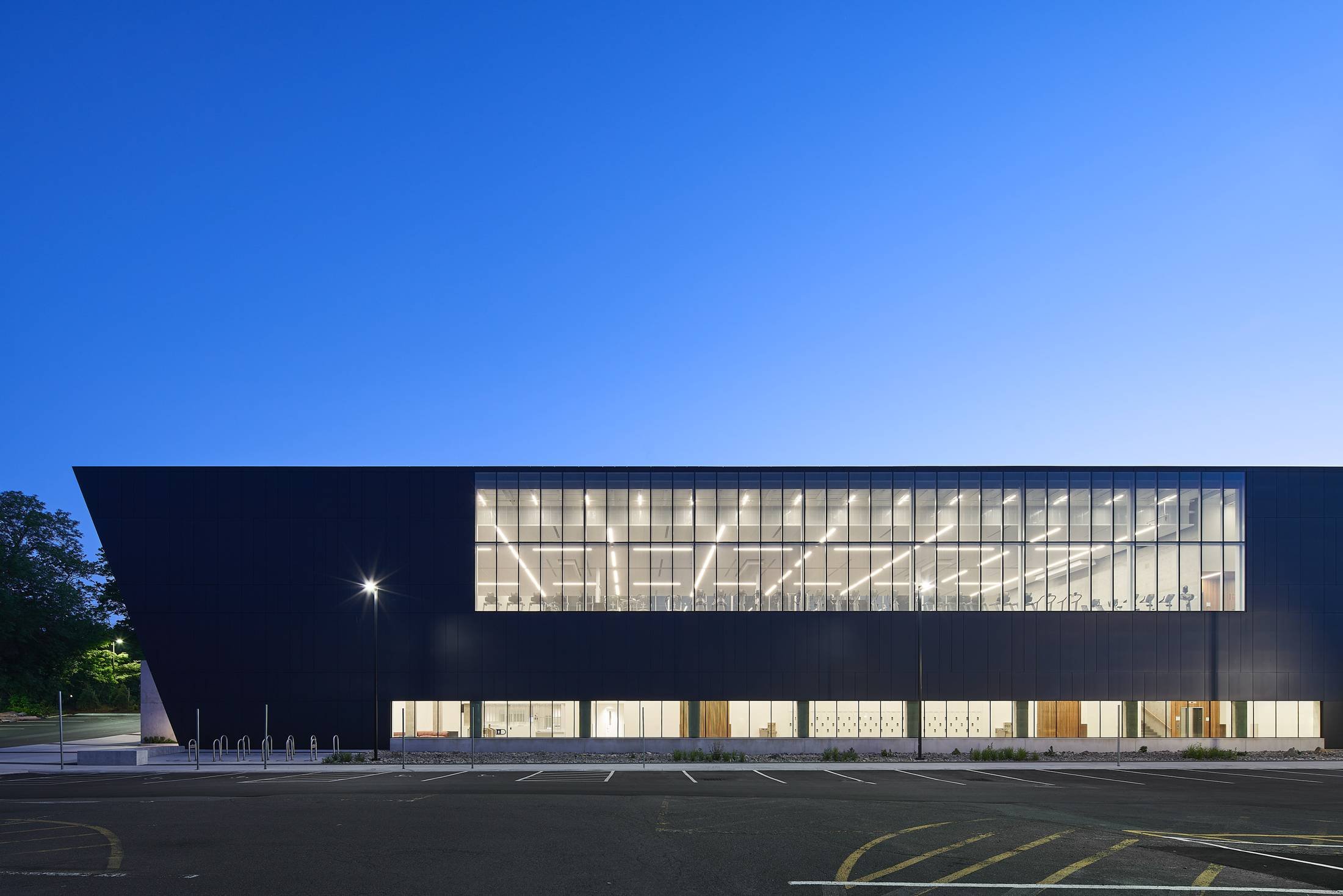 Dalplex_Ext100_med.jpg