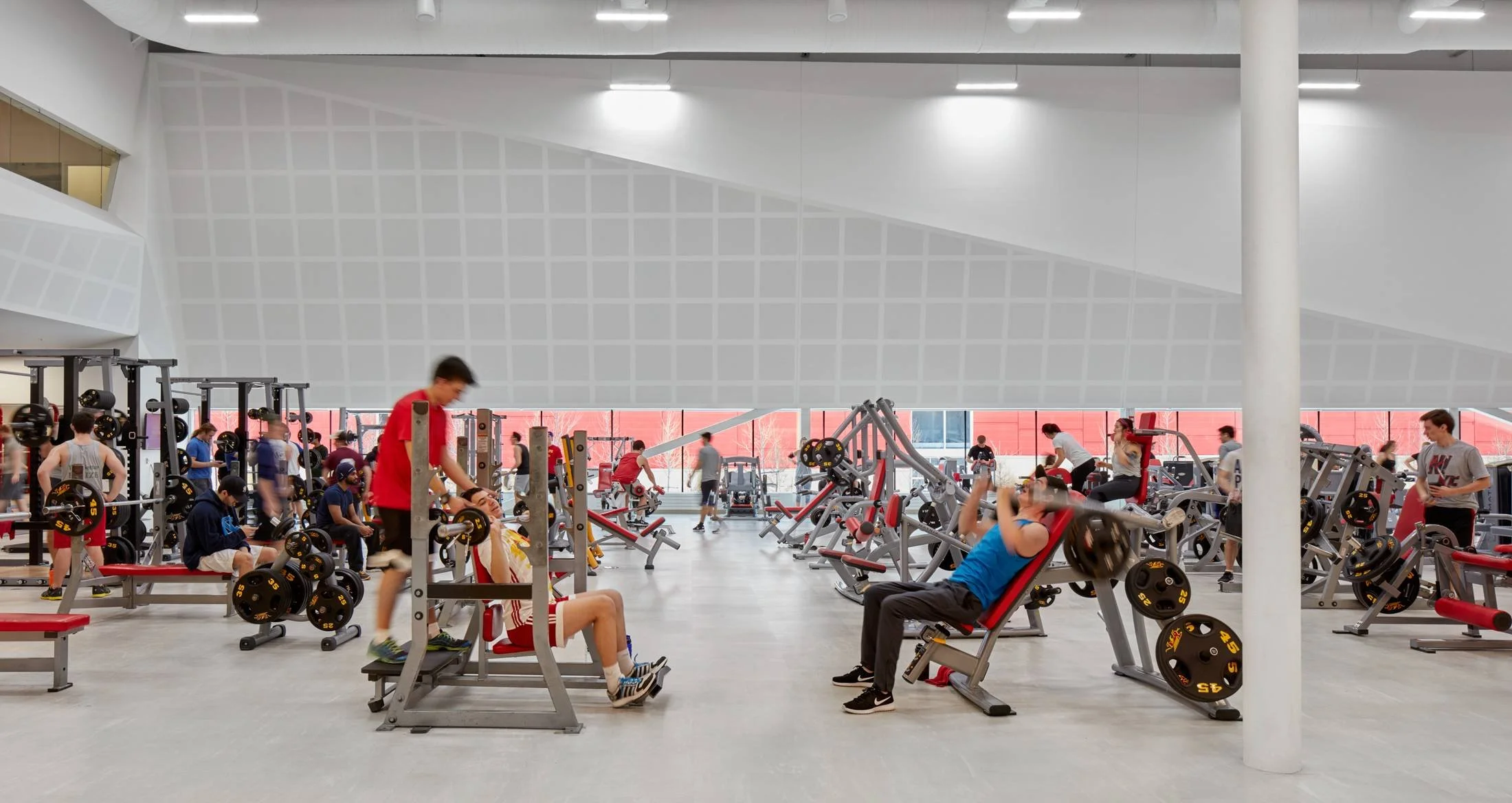Gryphons Athletics_Int411_med.jpg