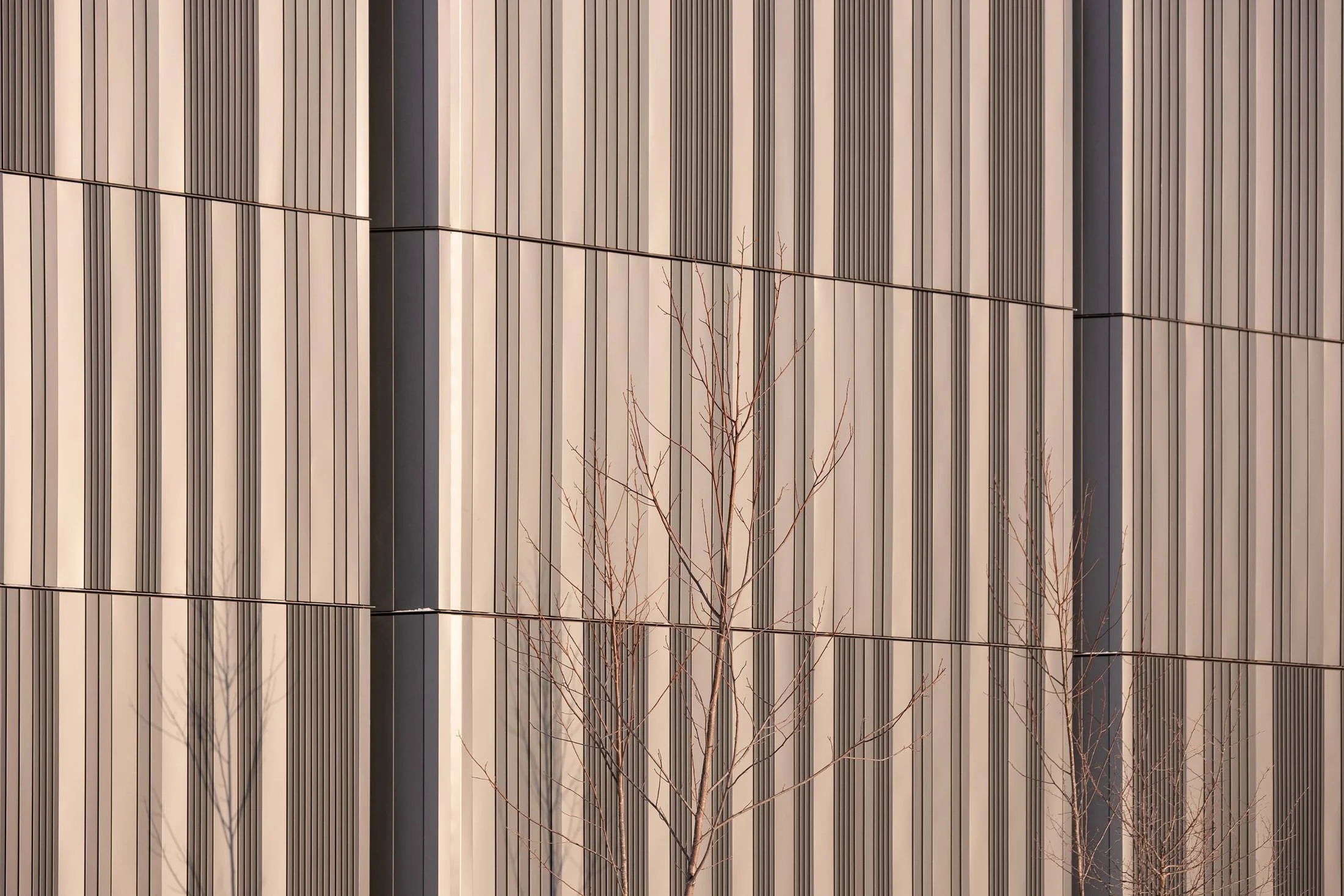 ELCC_Ext503.jpg