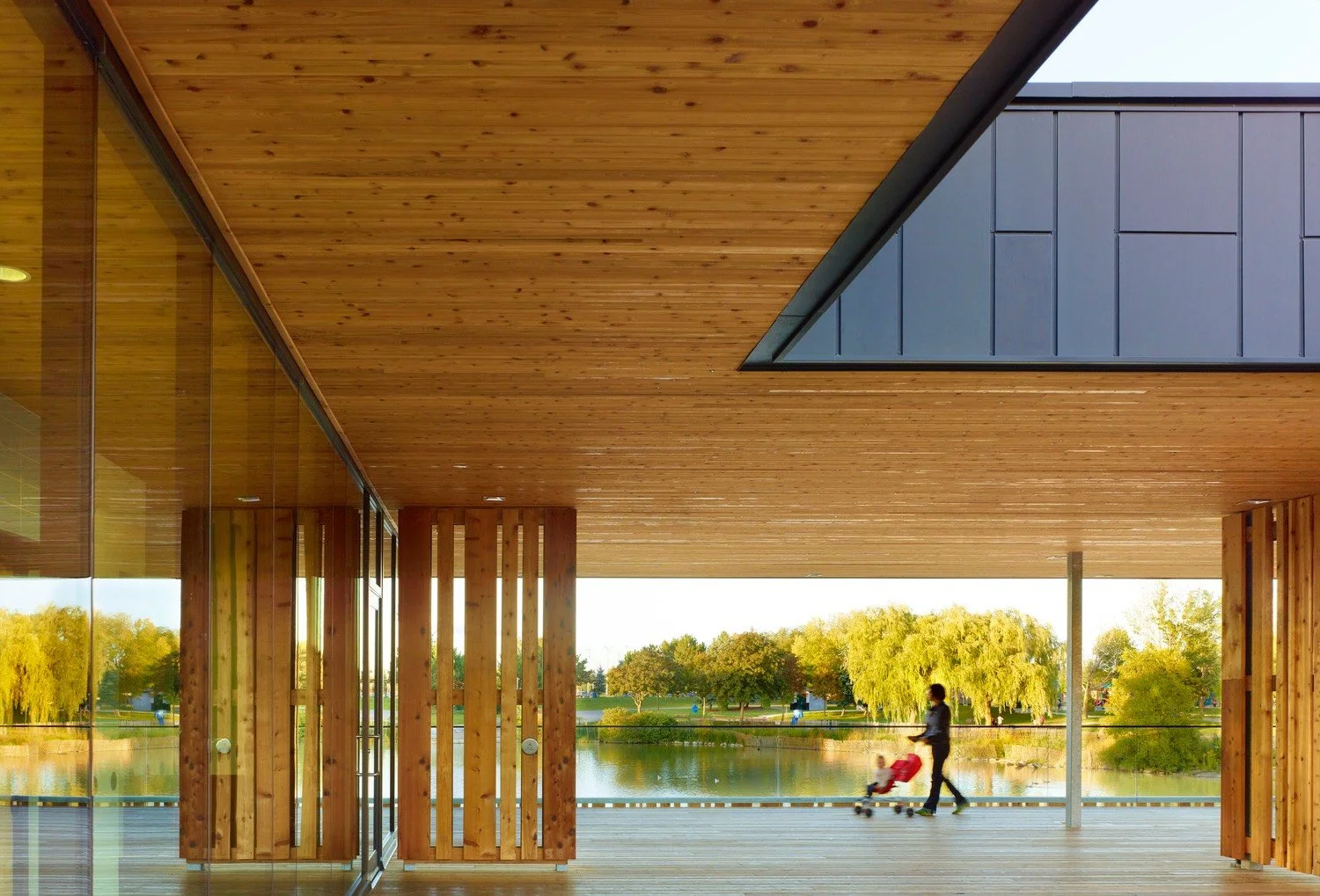 Chinguacousy Park Renewal