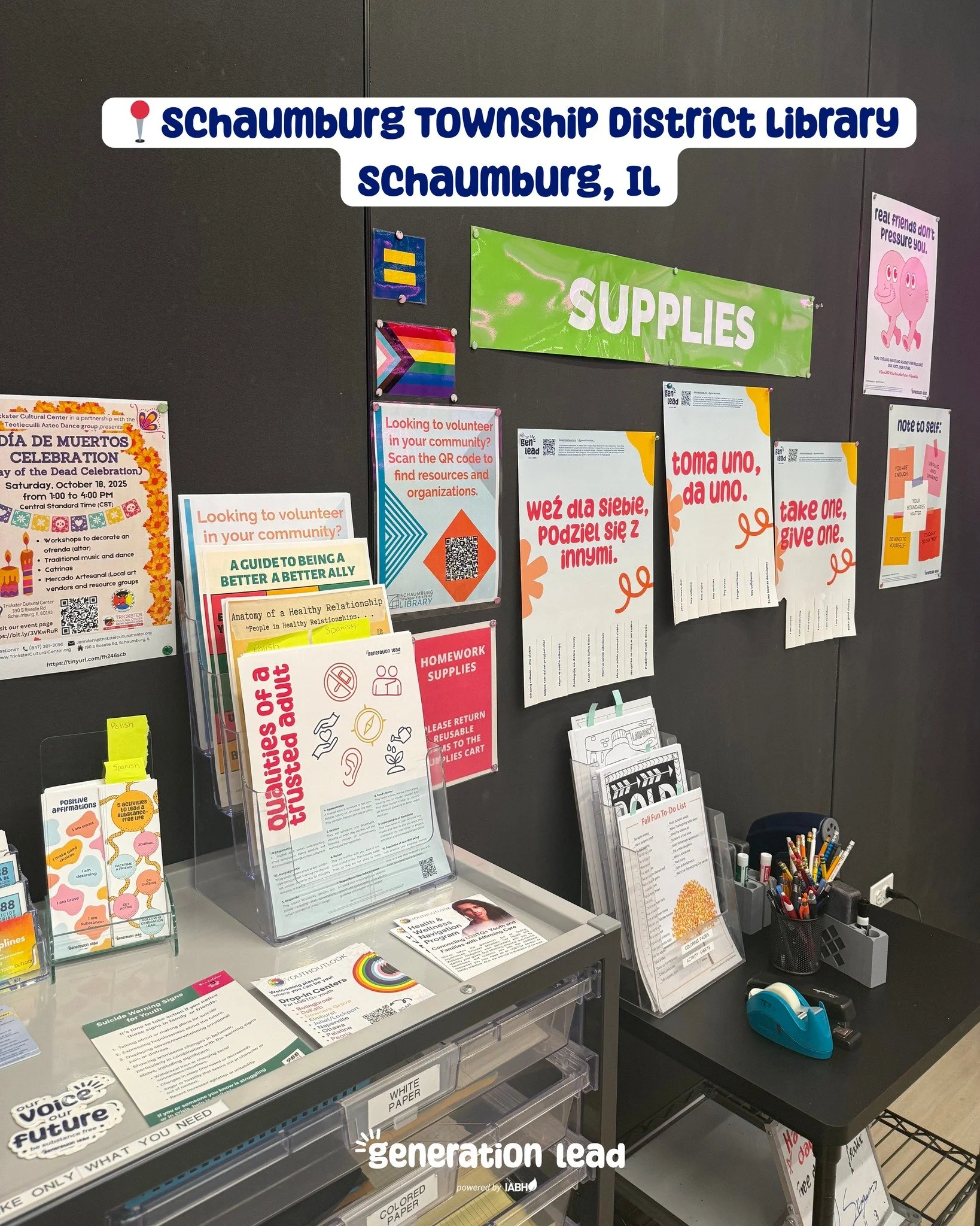 We're so grateful to have our materials available to Schaumburg Library visitors! Thank you so much for allowing us to bring Generation Lead into your community🫶

Do you want to see Generation Lead in your local library? Reach out to us today! #gene