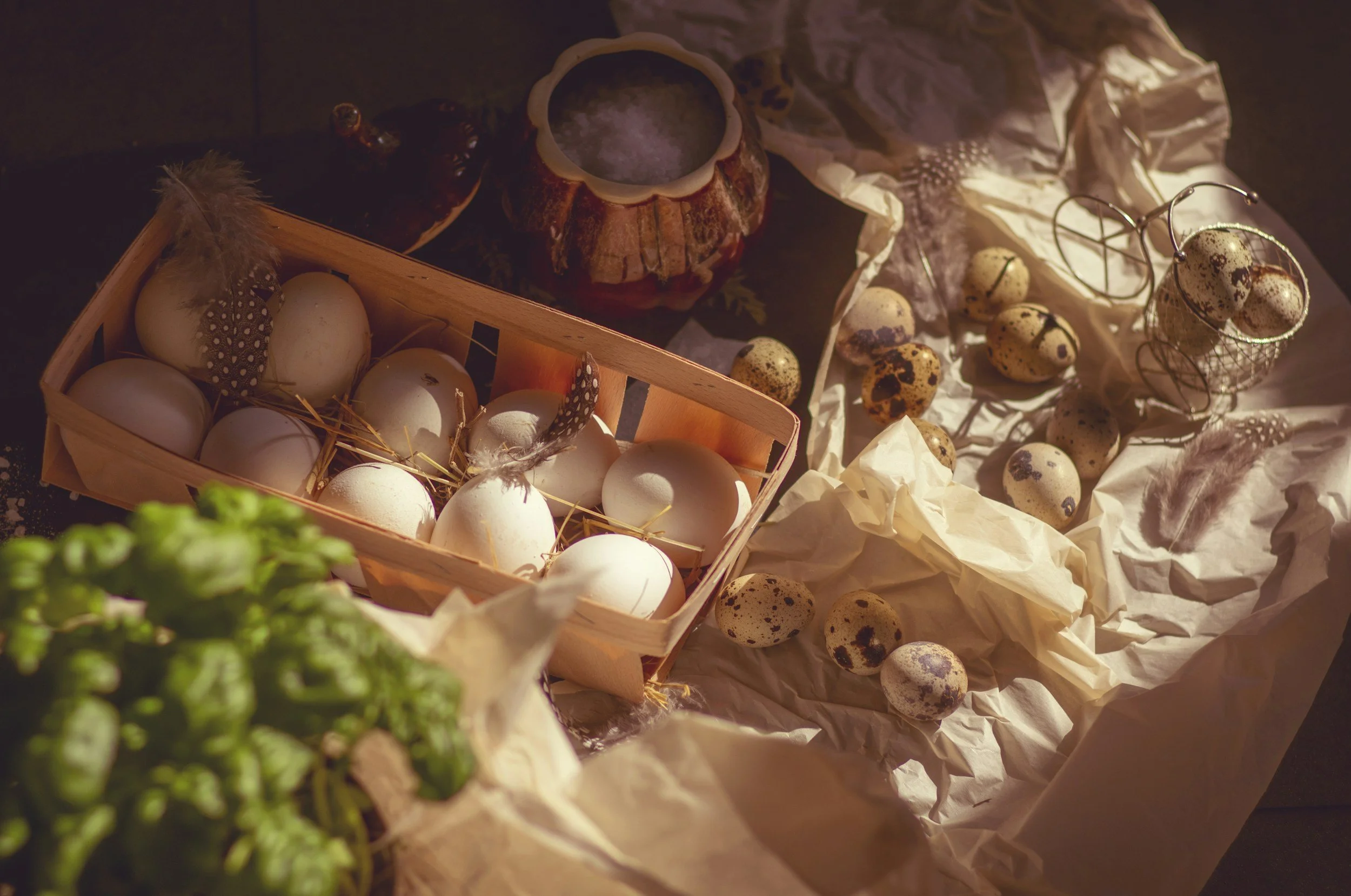 unsplash-image-2QvB3KVlRu8.jpg