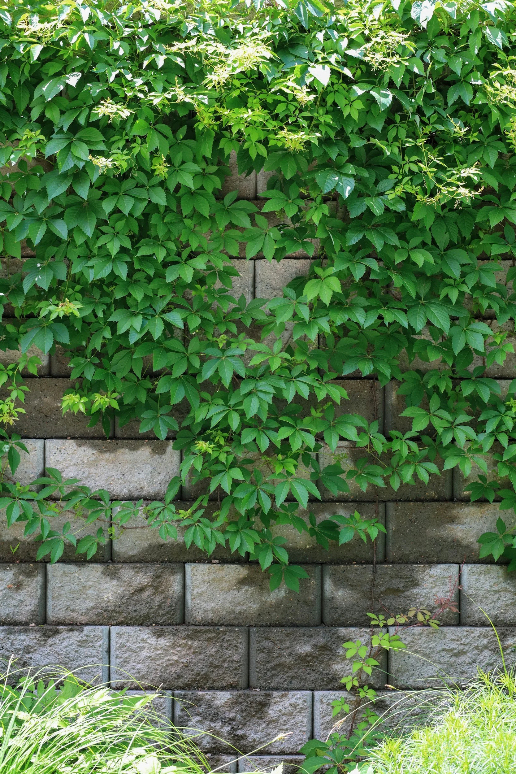 Overcoming Fear in Recovery: Building a Life That Grabs Your Attention