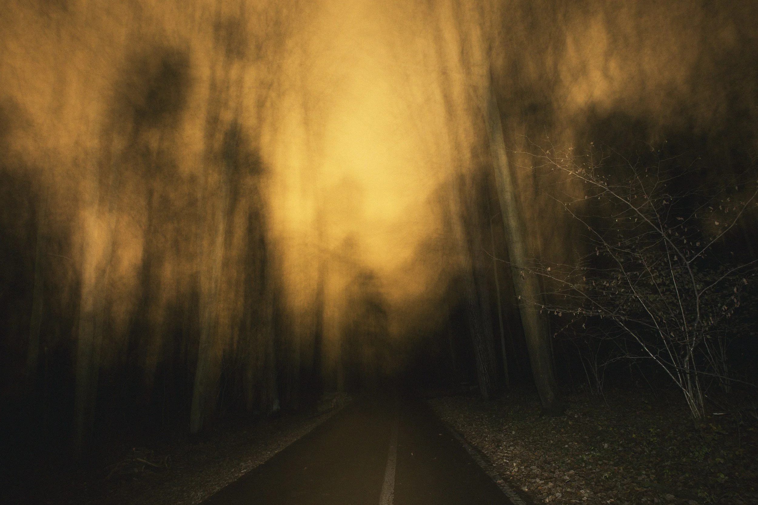 The Insidious Nature of Alcohol and Cocaine — And the Road to Recovery