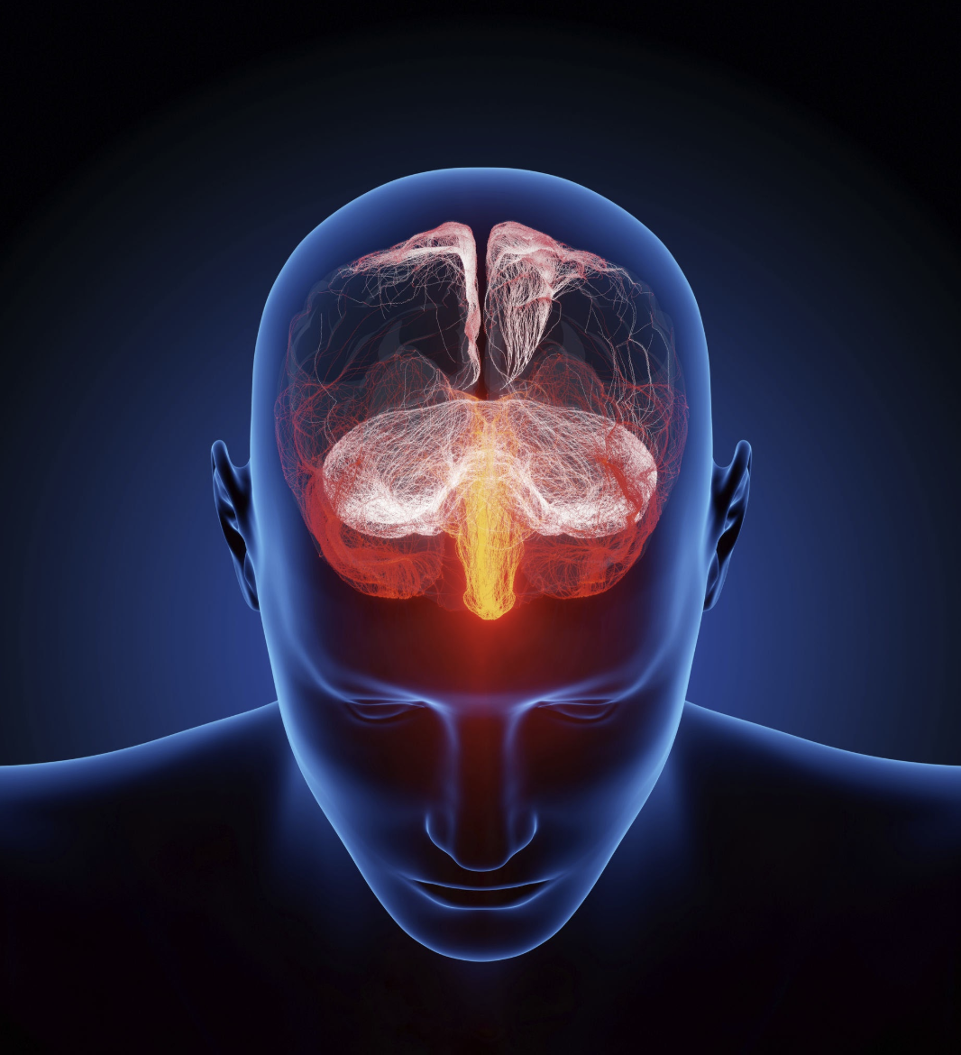 Anhedonia and the Neurochemical Tug‑of‑War in Early Recovery