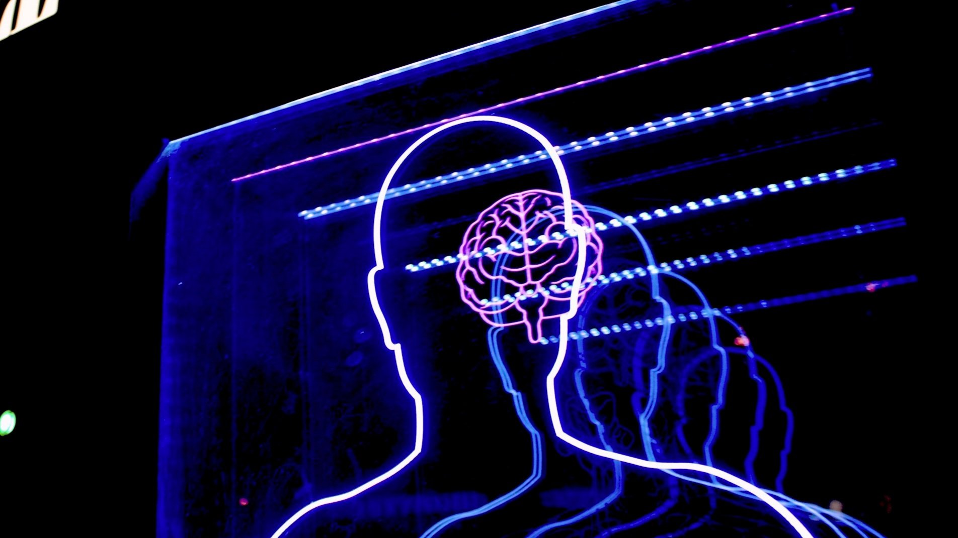 The Nucleus Accumbens: The Brain's Reward Center and Its Role in Addiction