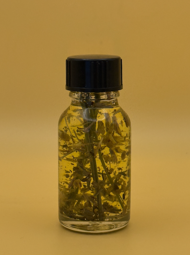 Screenshot 2026-01-26 at 12.36.15 PM.png