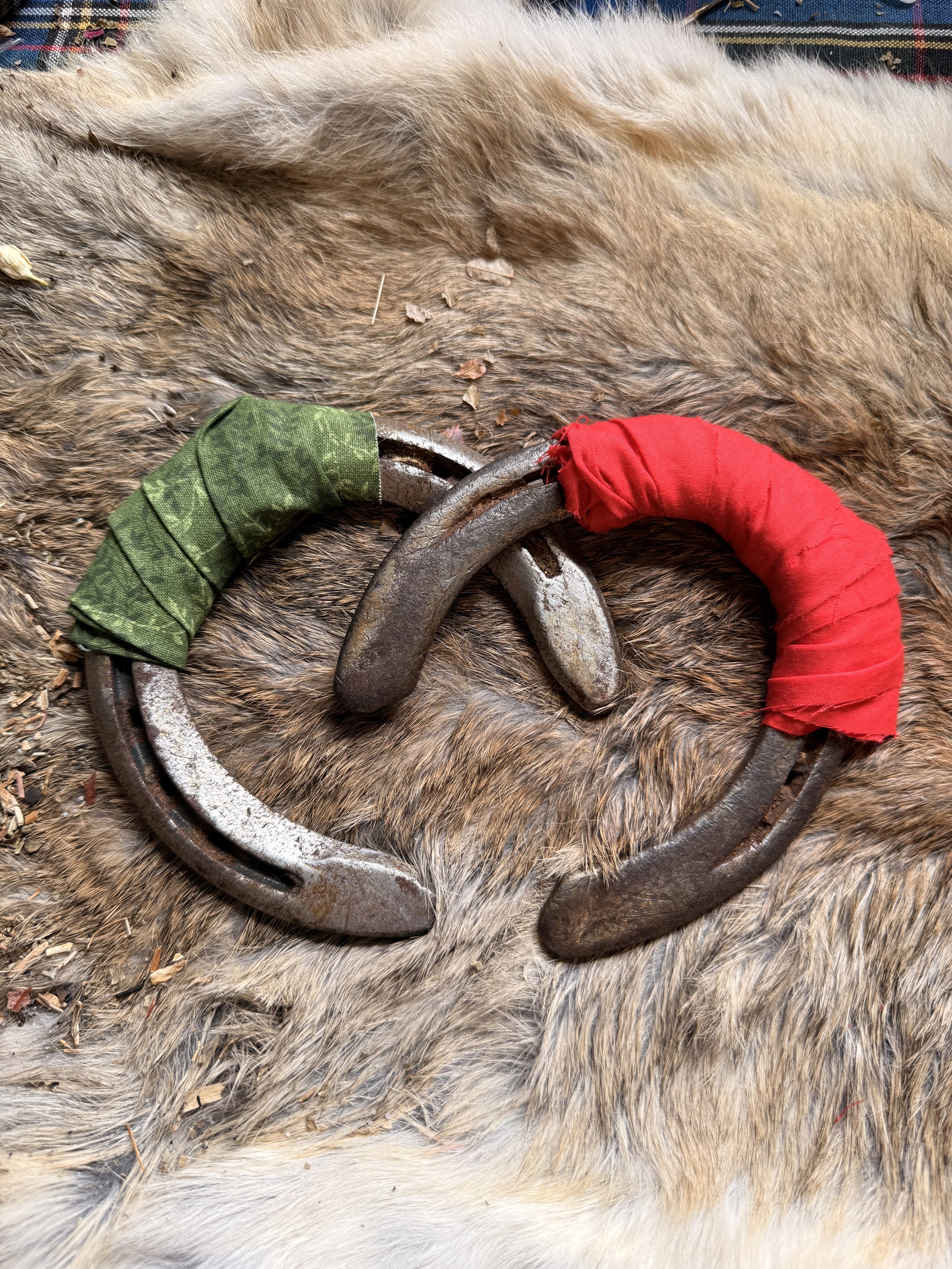 Lucky and Protection Horseshoes