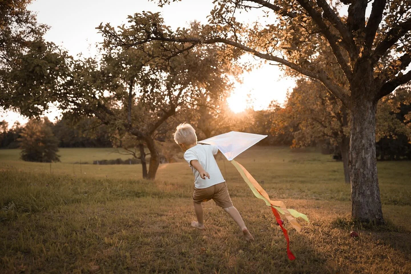 Mit nackten Füßen durchs Gras laufen, das Herz voller Abenteuer und die Sonne im Gesicht – so fühlt sich Kindheit an โจ๐๐ช
Titel: Sound
Band: Free Note
#goldenhour #sunsetvibes #eveningsun #naturelove #purejoy #summervibes
