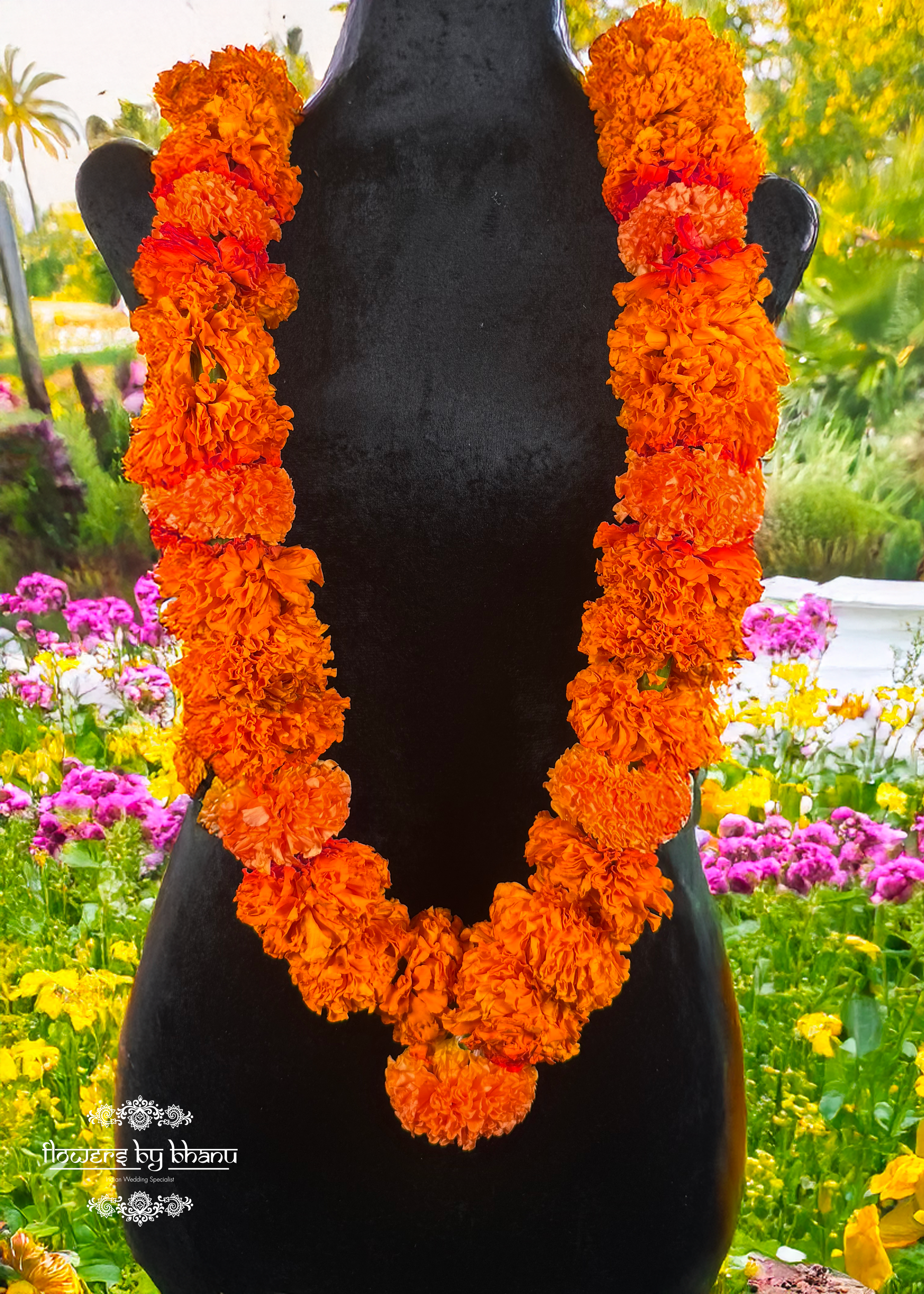IMG_1200(orange).png