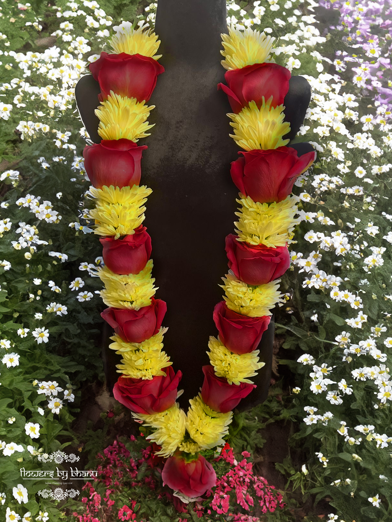 plain haar red yellow.png