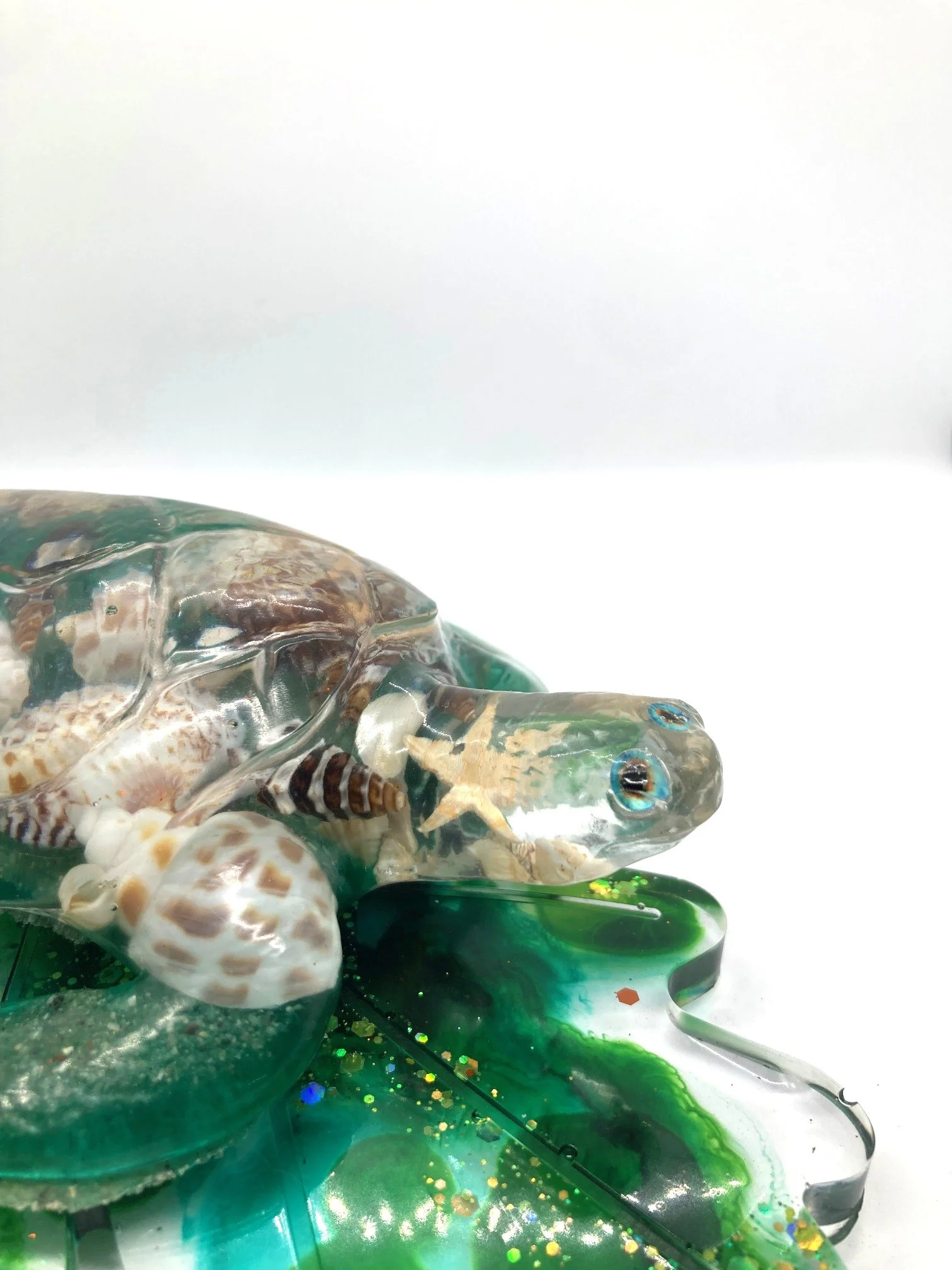 Resin Figurine Shell Yeah Turtle on Leaf_Side Eye.jpg