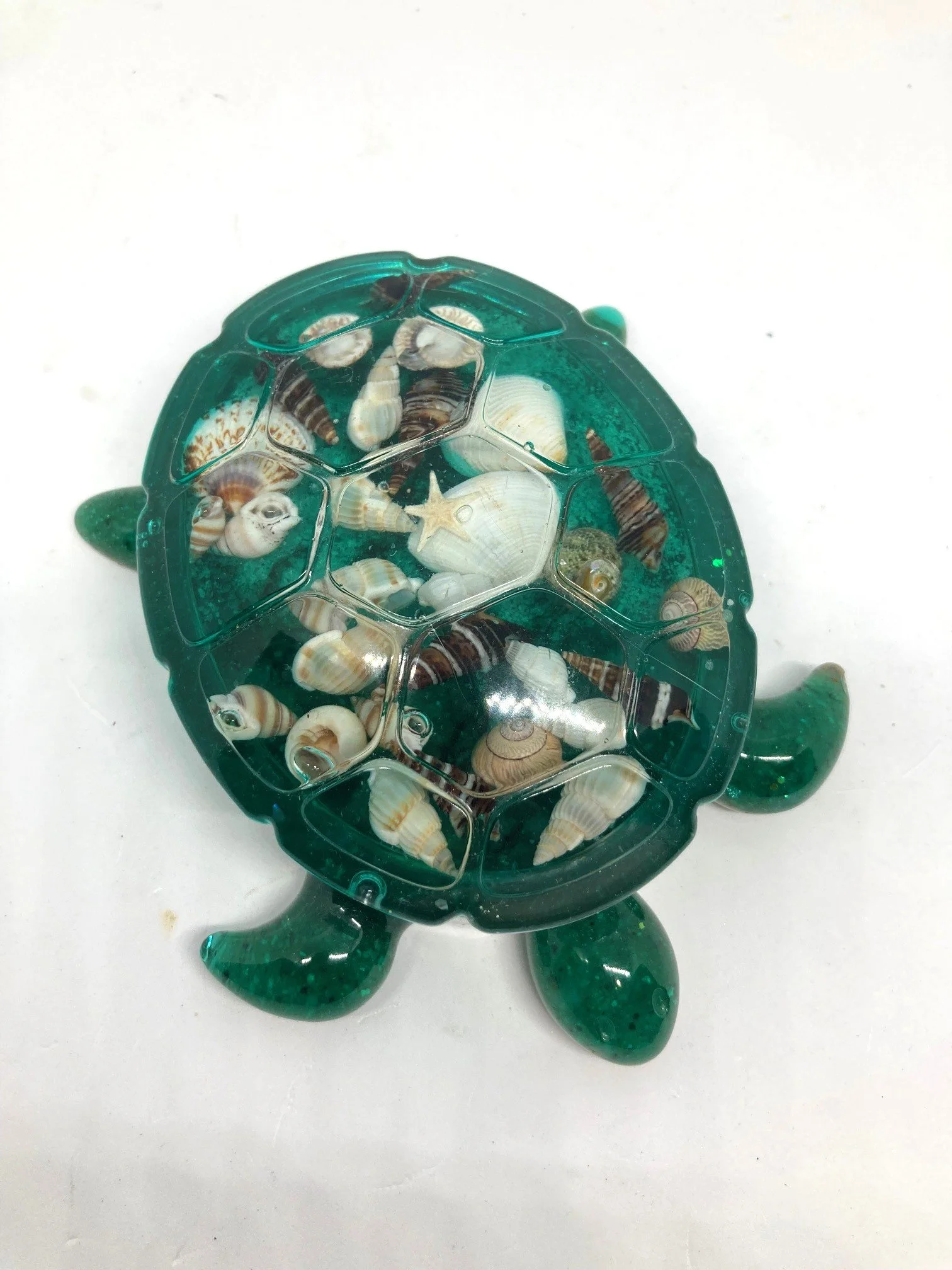 MediumTurtleDishWithLid_ShellYeahWithShells_TopView.jpg