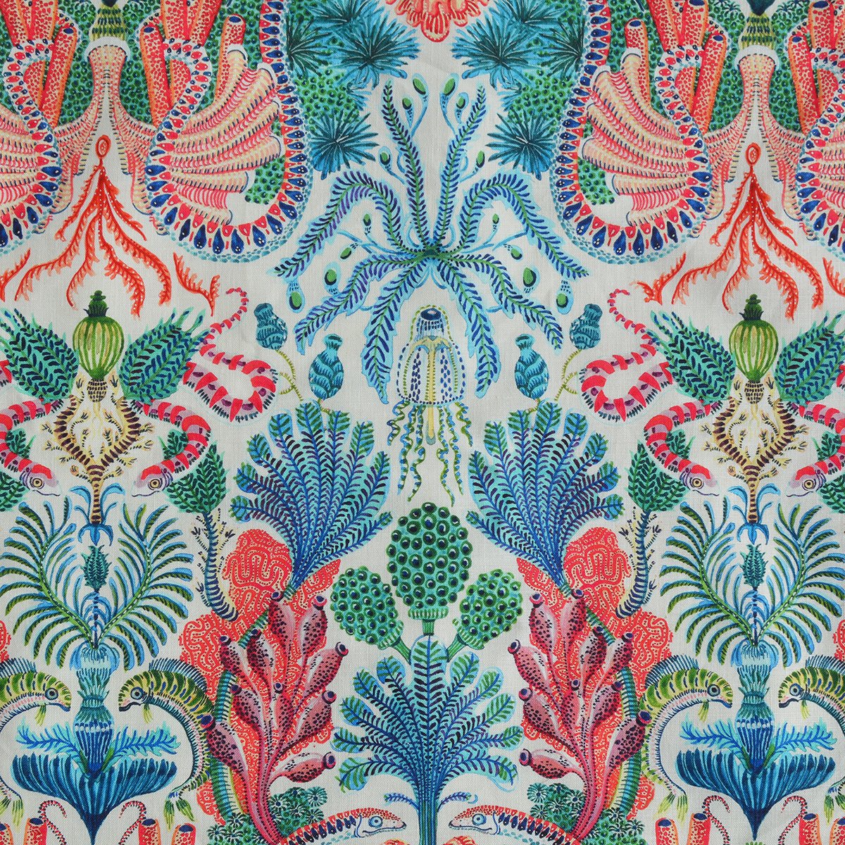 KALAMI Coral Sample
