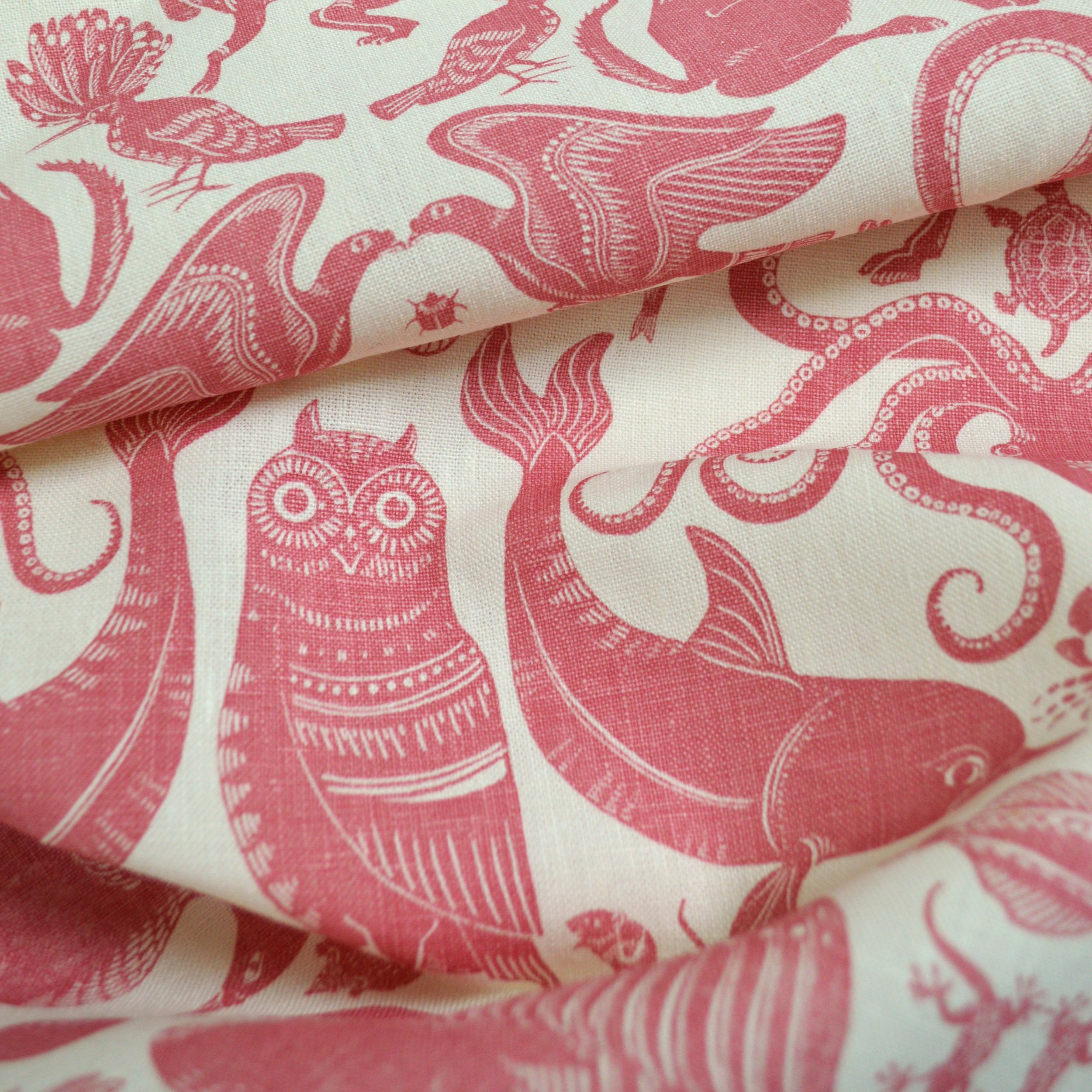 BIRDS & BEASTS Morello