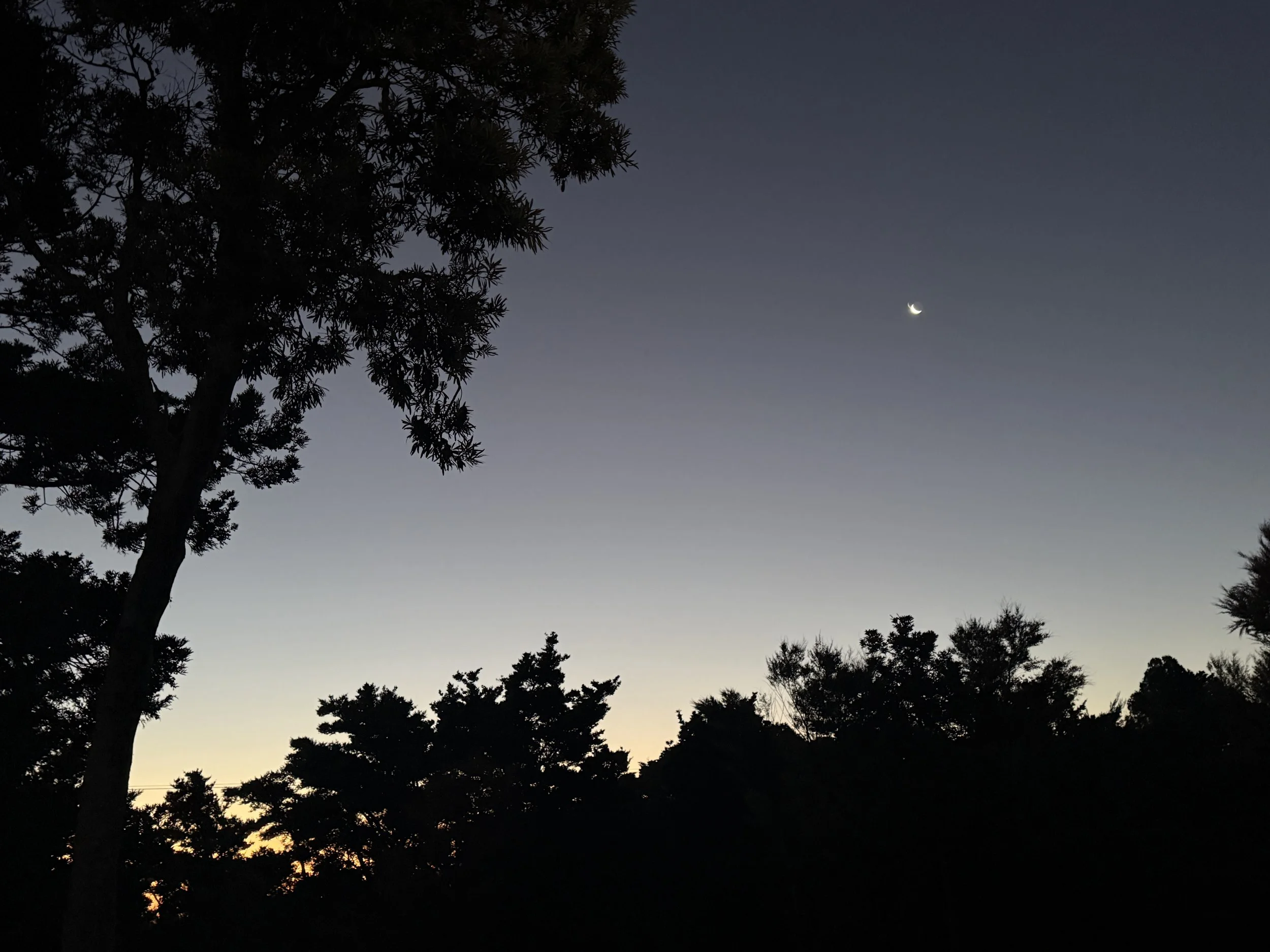 2026留学生たちが到着します