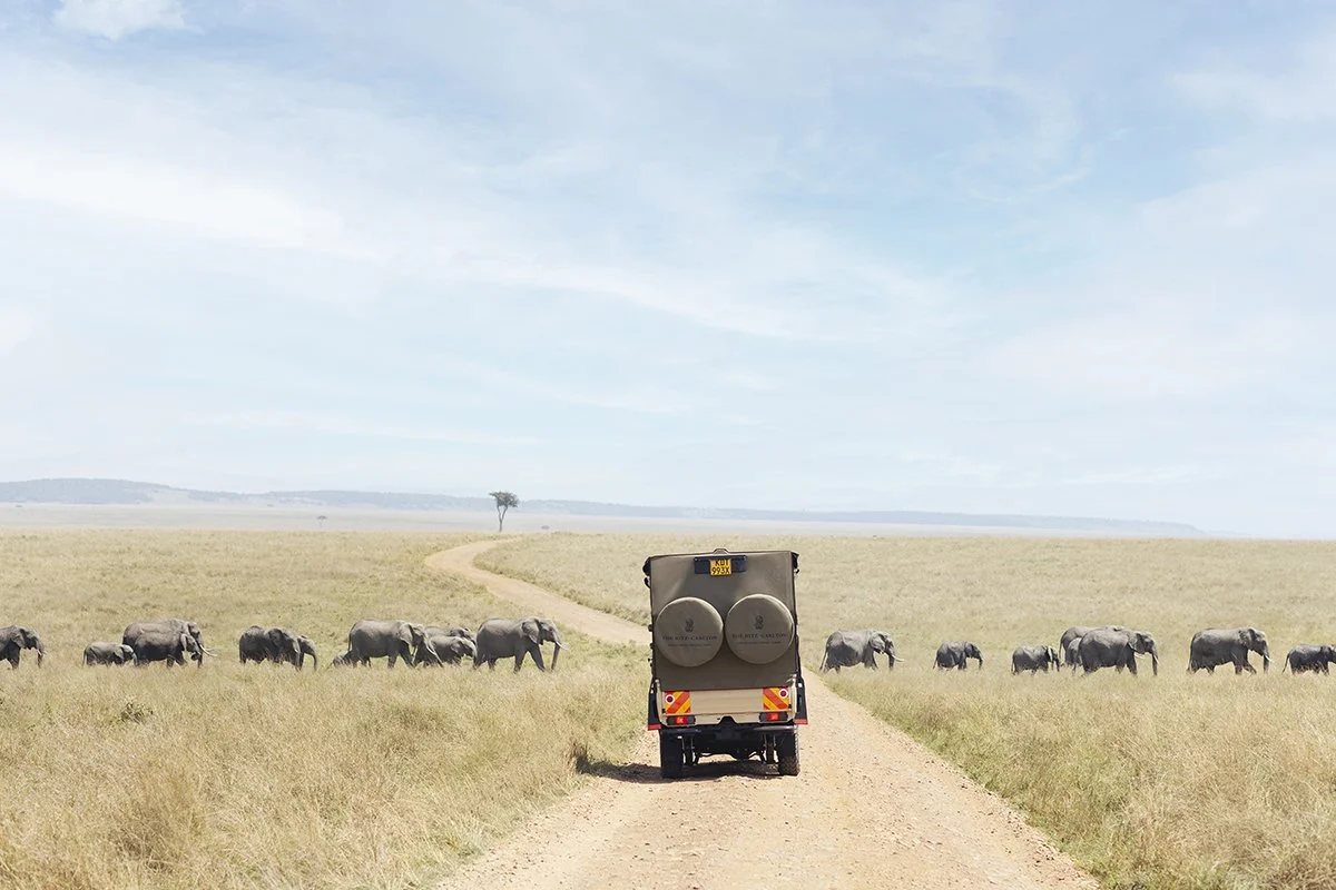 250903_RC_Marriot_Masai_Mara__Safari_Card_1018-1 copy.jpg