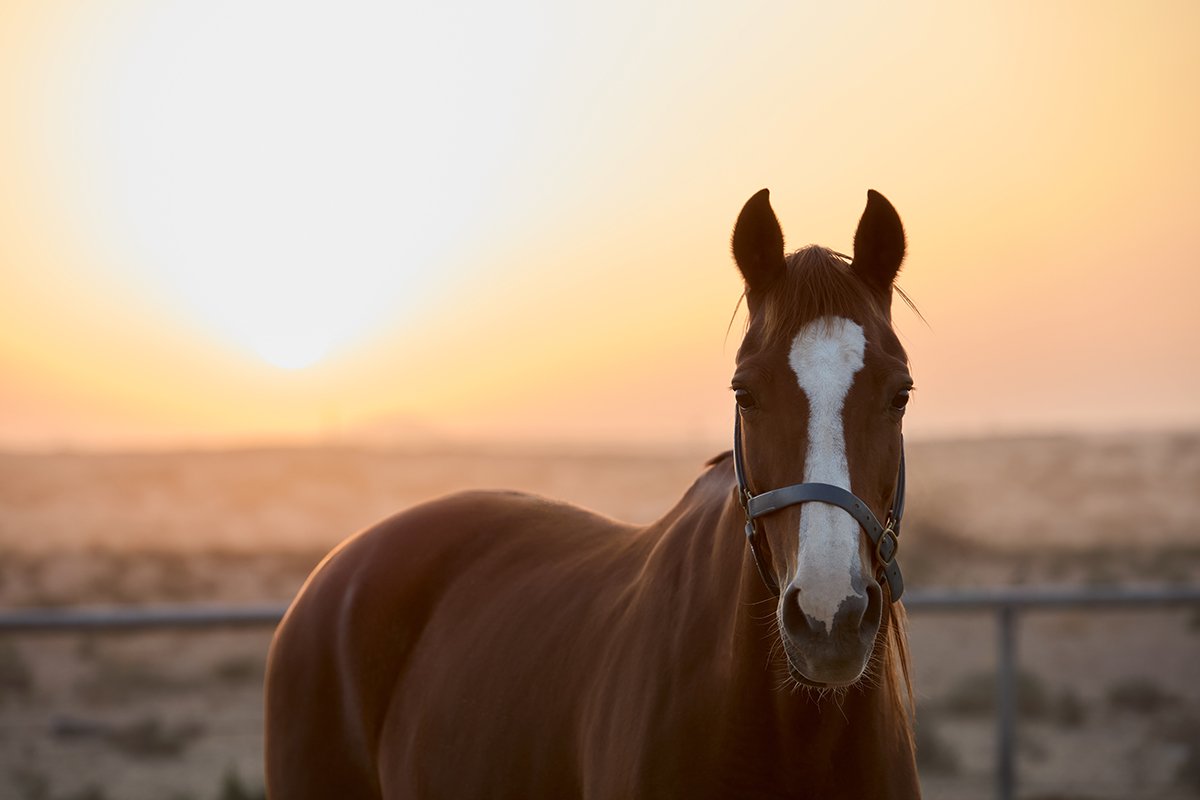 VICTORIA_STREET_MANUEL_NAGAL_SHOT_002_02168 copy.jpg