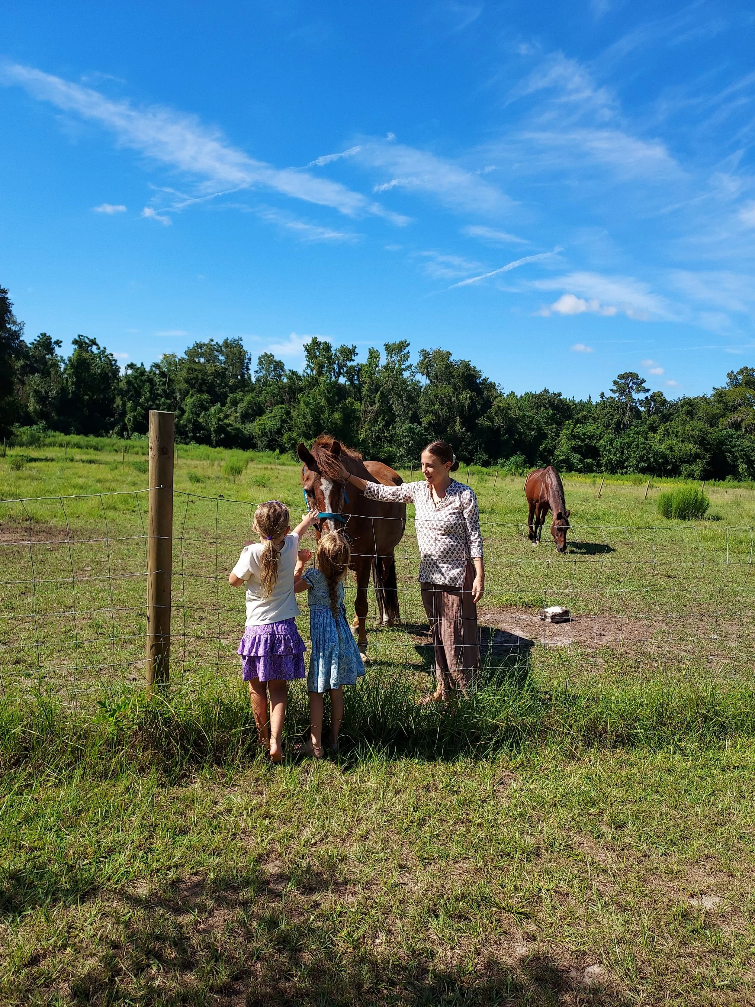 A woman and three children interacting with horses in a fenced grassy field on a sunny day, with a bright blue sky and trees in the background.