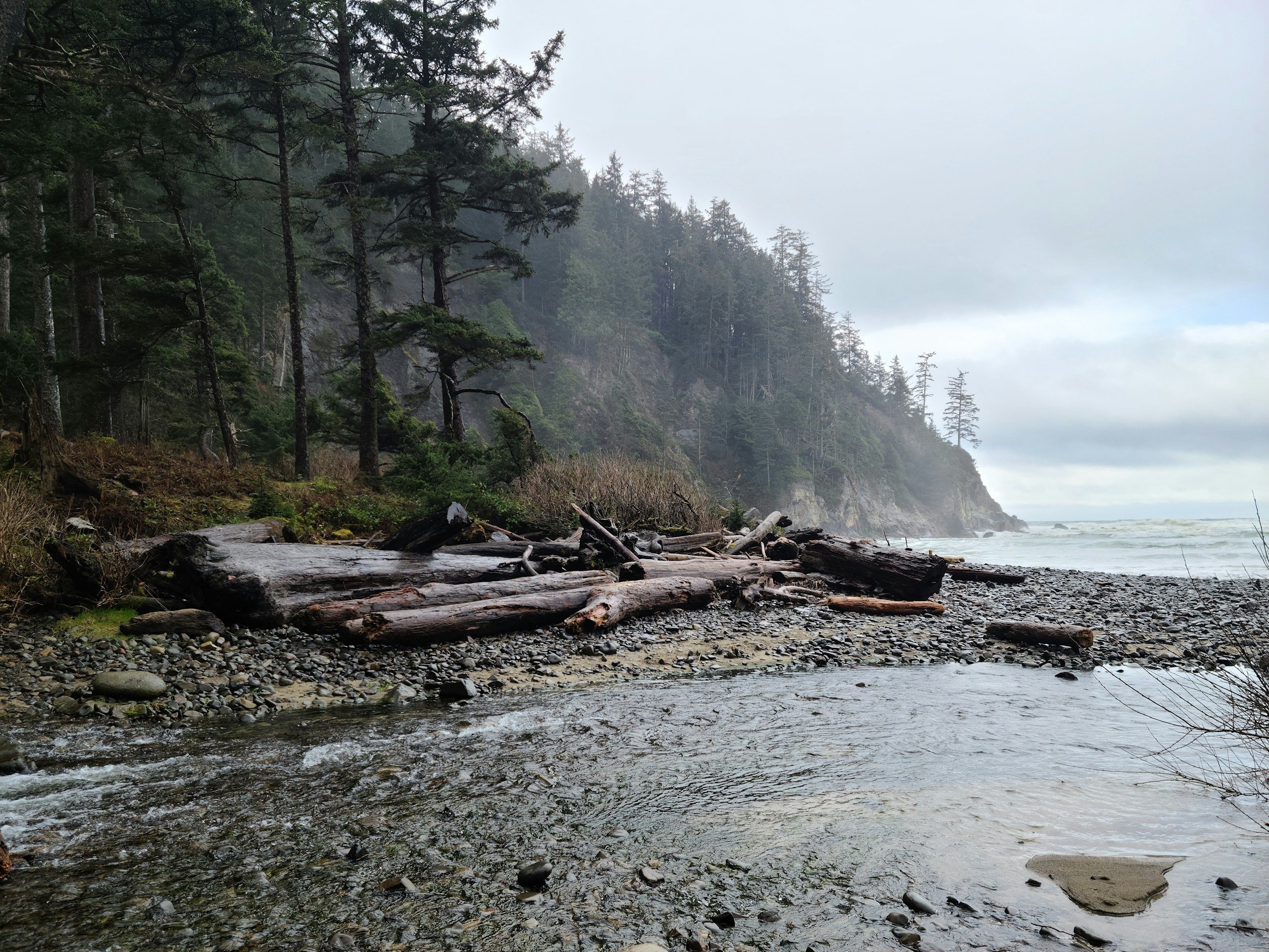 A rocky shoreline with driftwood and small rocks, backed by dense pine trees on a cliff and an overcast sky.