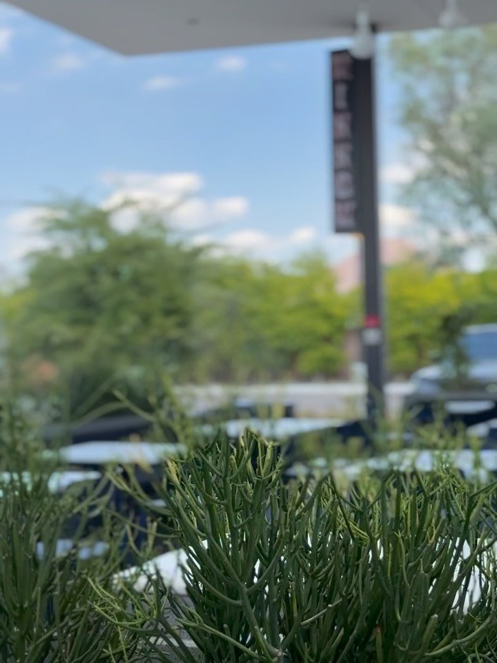 ITS A BEAUTIFUL DAY TO DRINK MATCHA &amp; EAT SUSHI 👯&zwj;♀️🍵