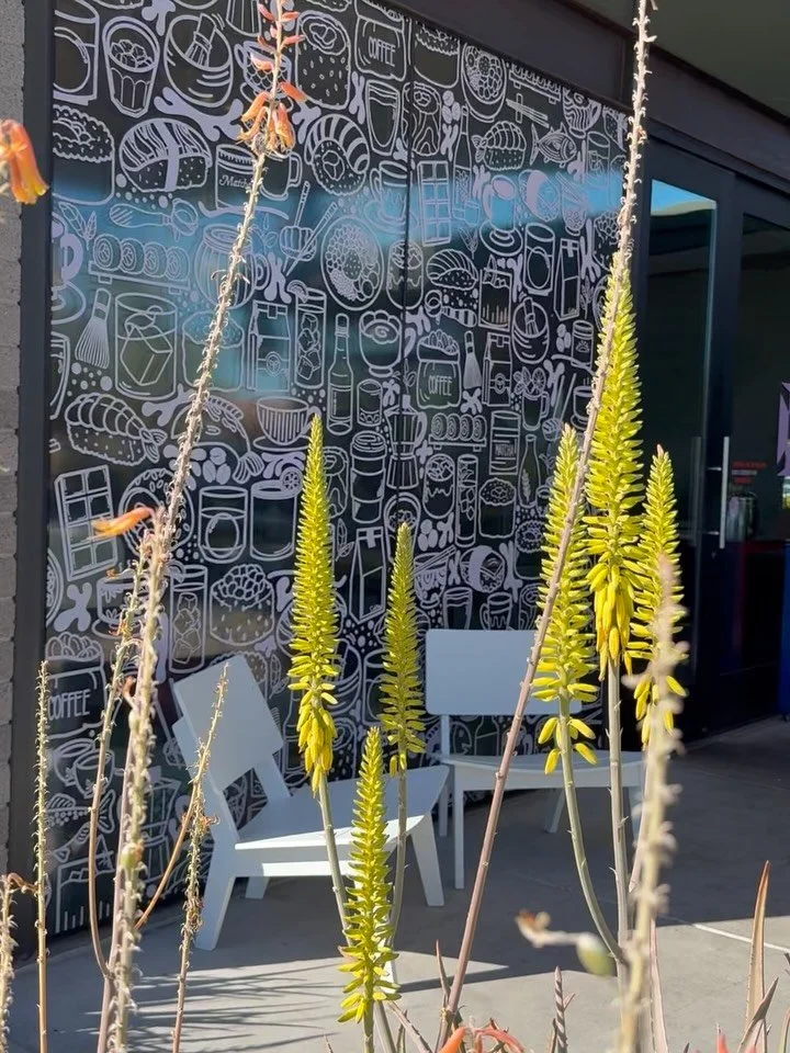 It&rsquo;s a beautiful weekend to drink matcha on the patio with your people! 🍣☀️

There is so much happening around the valley this weekend? What are you looking forward to? 

Some of our team will be dancing their hearts out at @m3ffest tonight ✌️