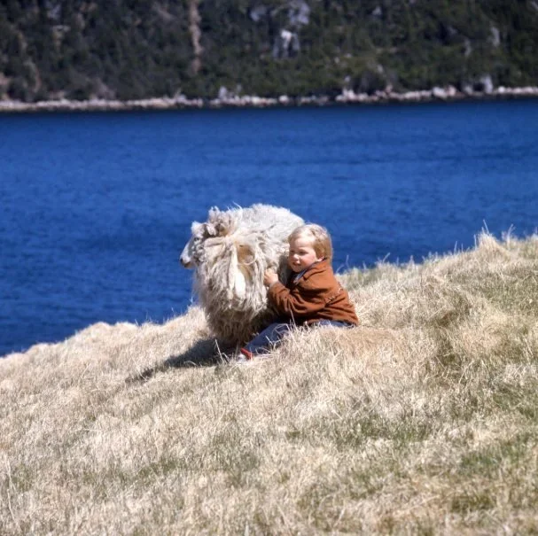 Nicholas & Timid