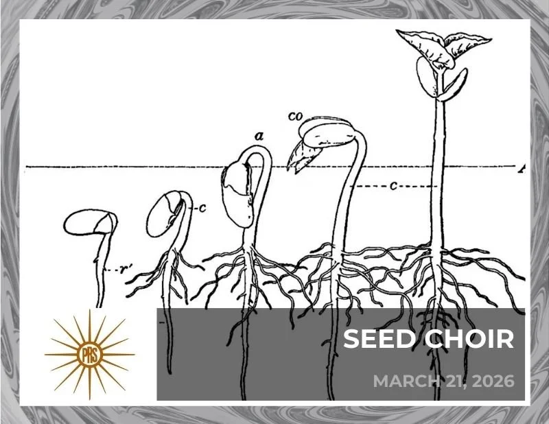 seedchoir26.jpg