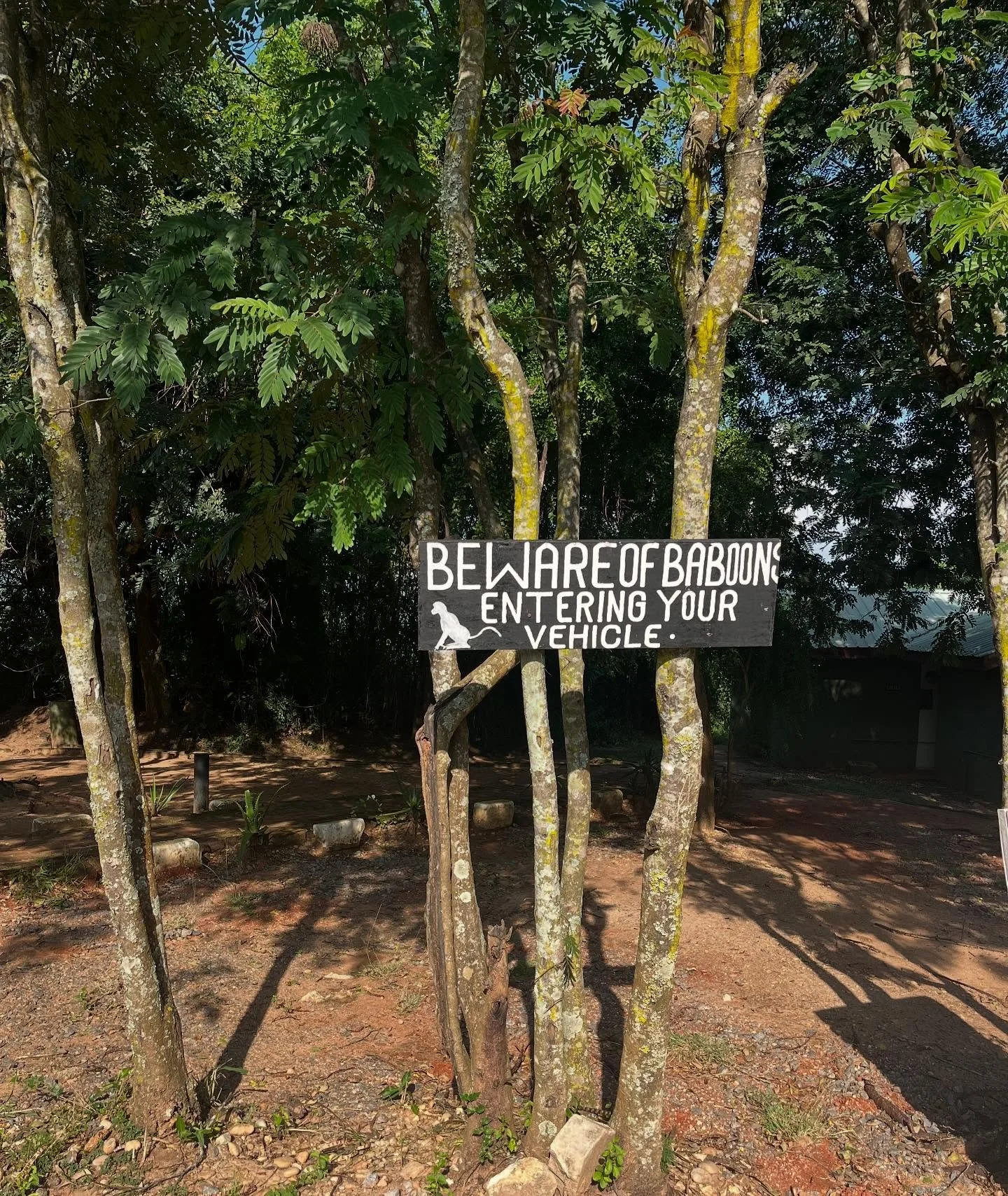 Does your social post tell a story? Does it make the viewer feel something? This week&rsquo;s newsletter reflects on how to tell an effective story online via emotion, inspiration, and information! Link in bio to read!