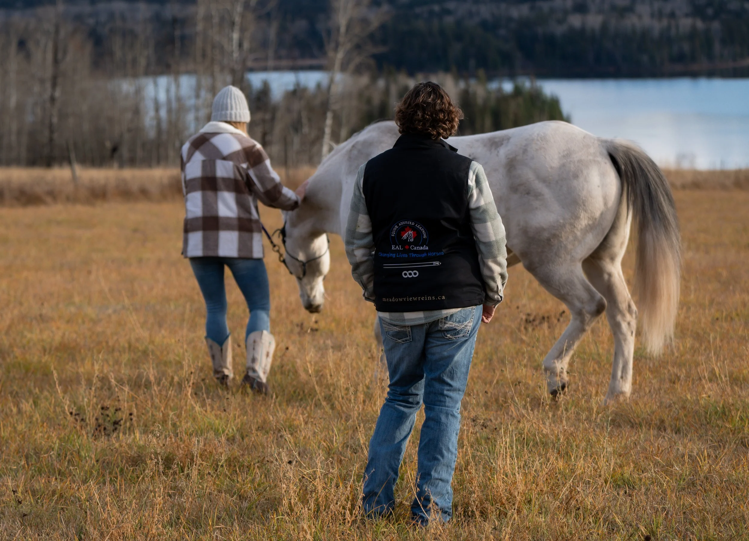Participant building trust and leadership skills during an Equine Assisted Learning (EAL) session at MeadowView Reins.