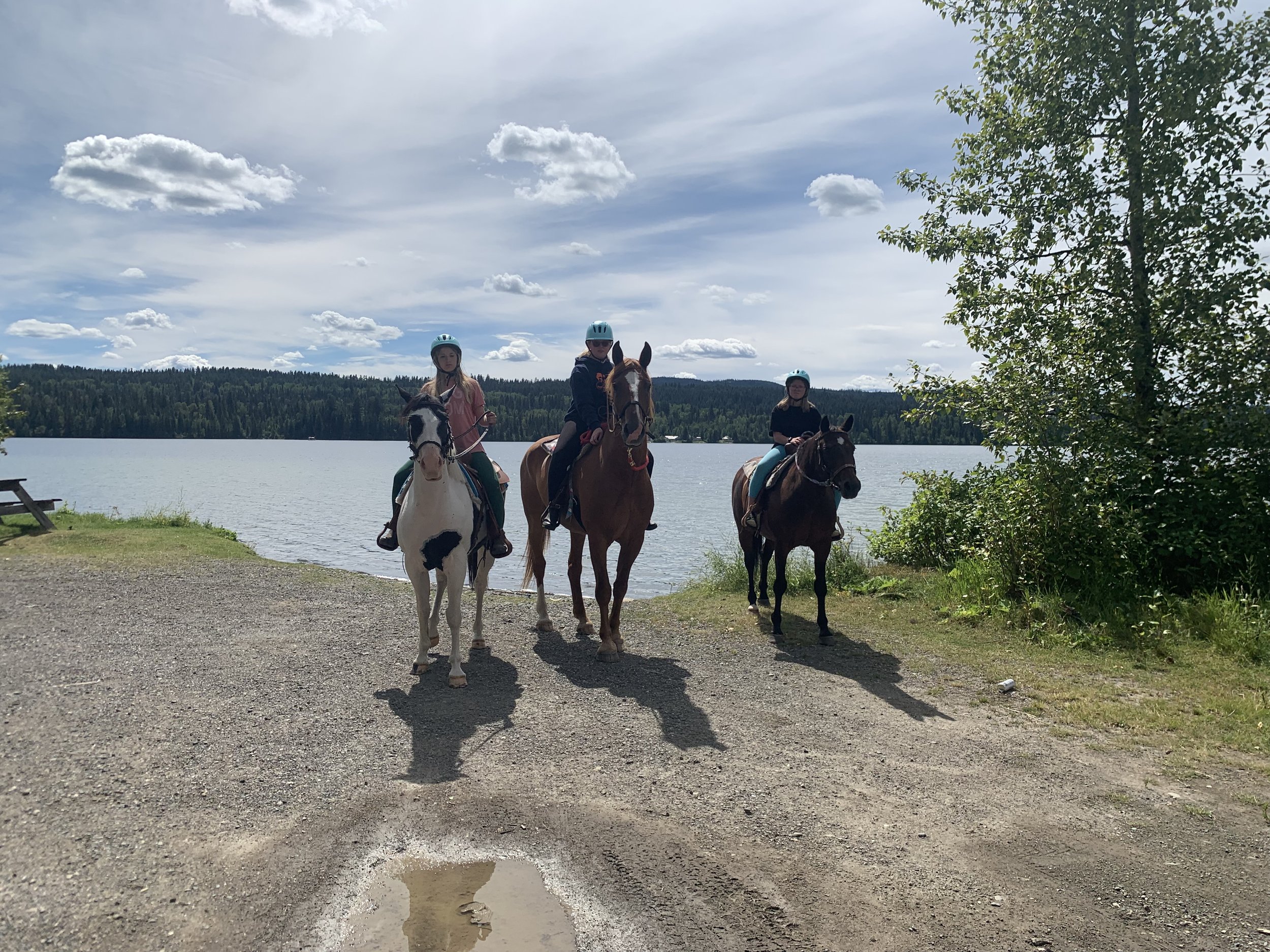 Why Horses Make Great Teachers for Children